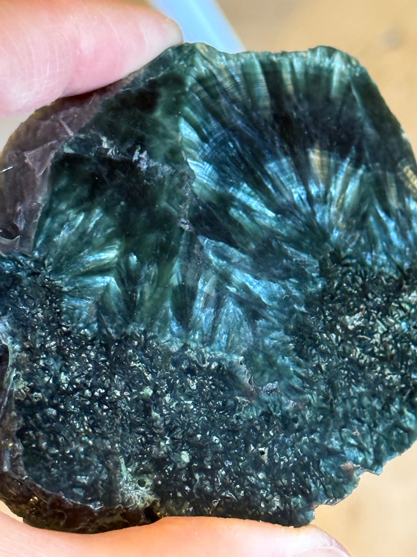 Seraphinite slice 3.25”, rare, beautiful with wings