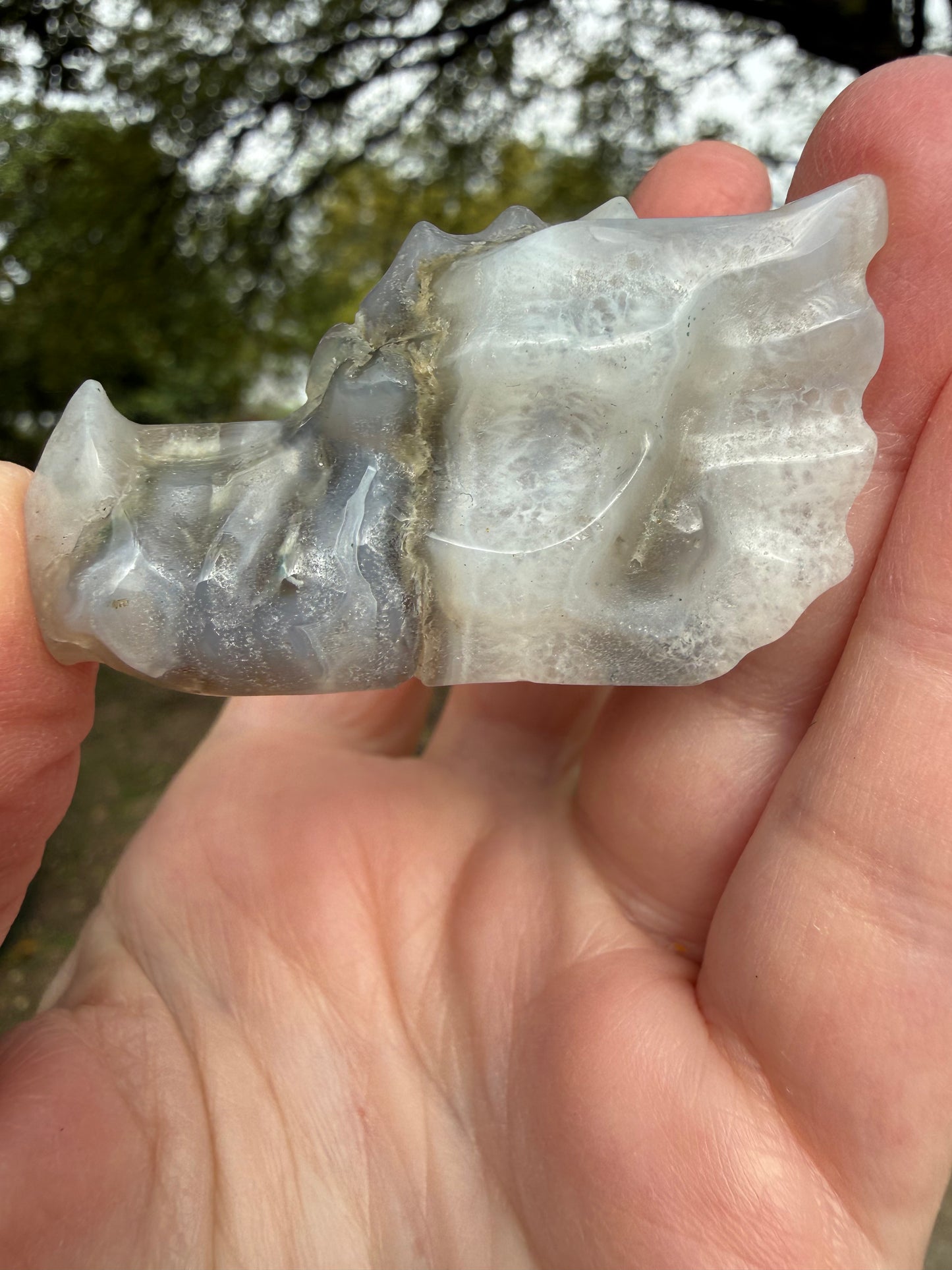 Blue Chalcedony Moss Agate Dragon 2”, New