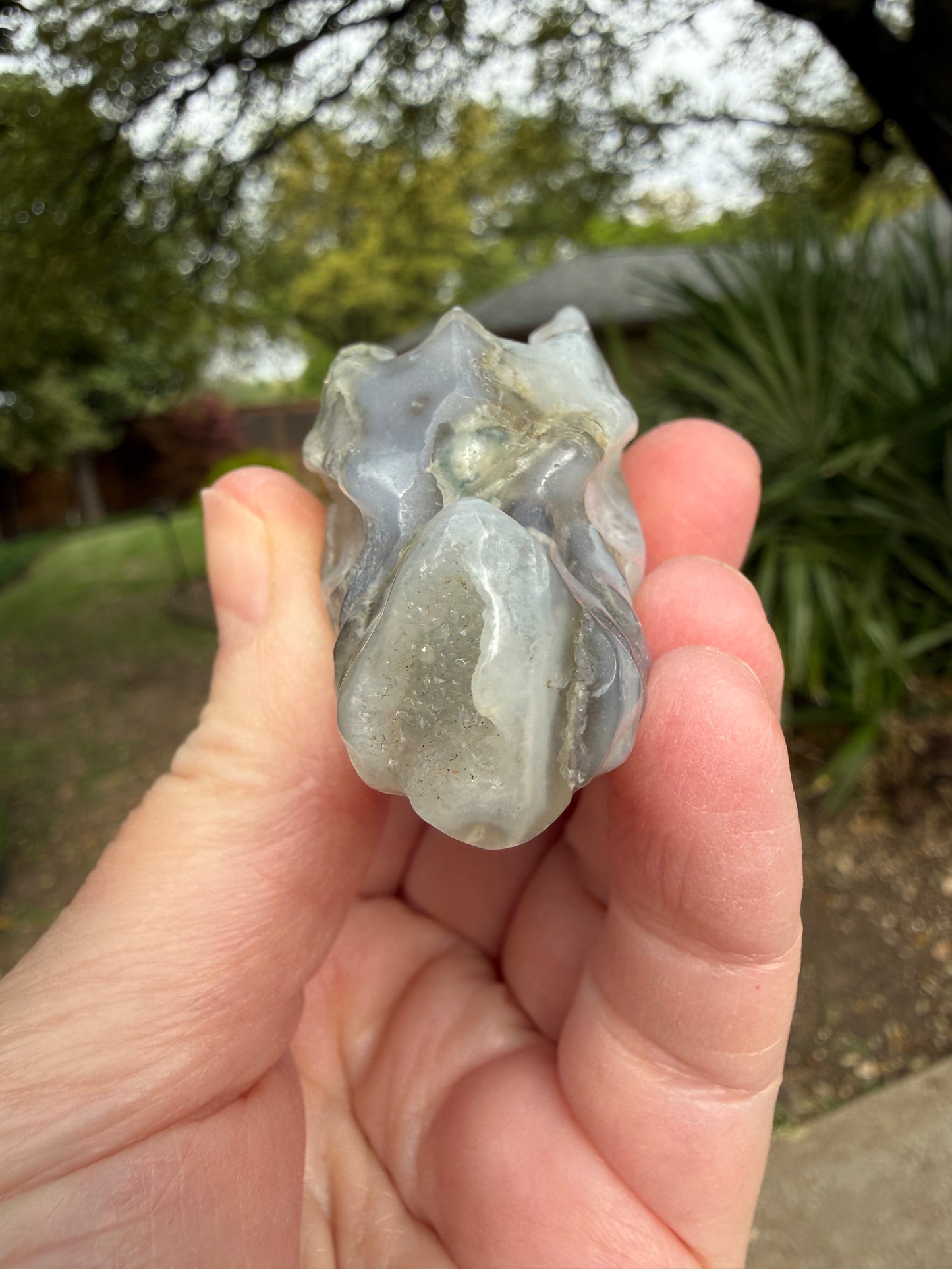 Blue Chalcedony Moss Agate Dragon 2”, New