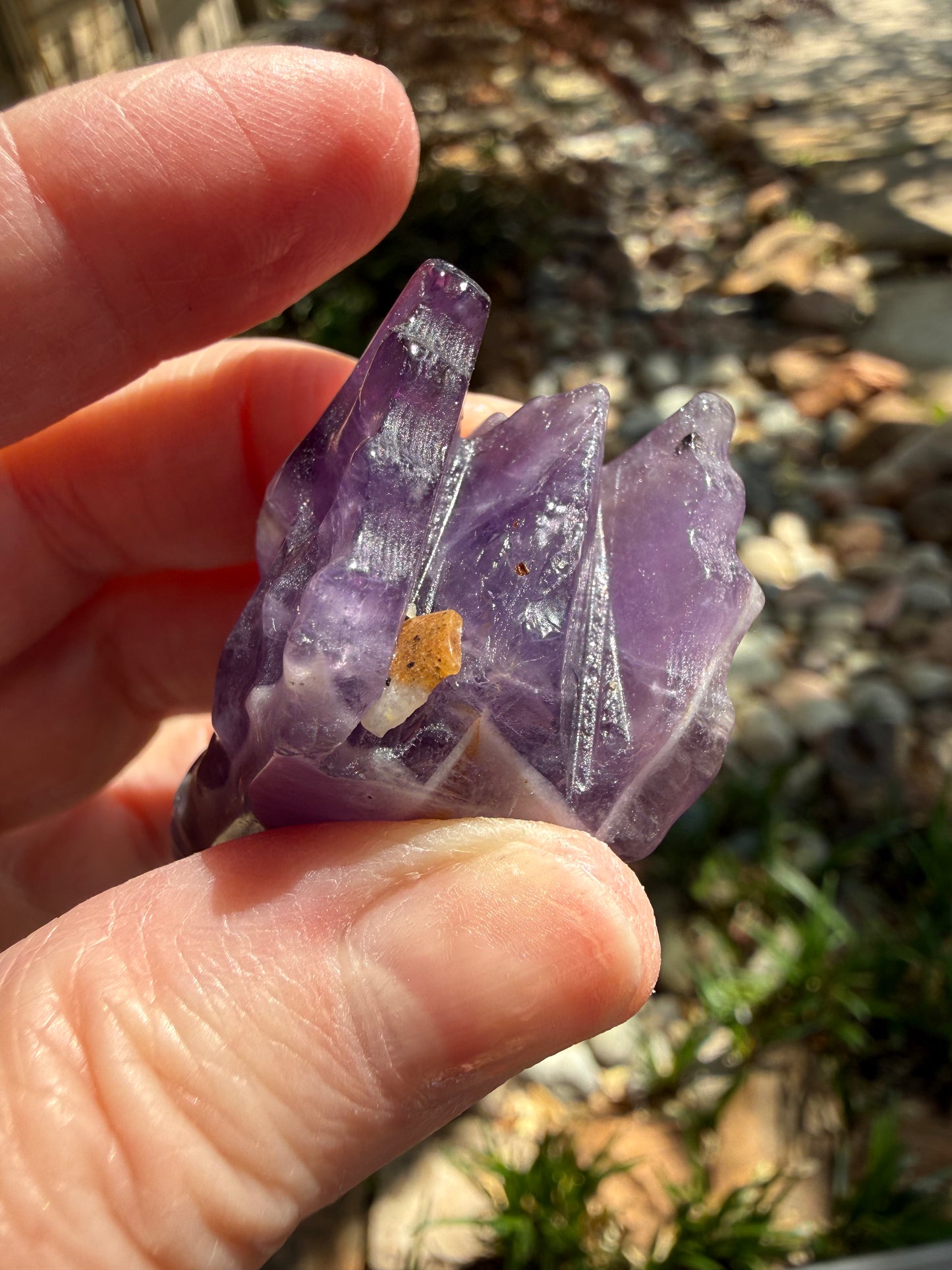 Chevron Amethyst Dragon, 2”, beautiful carving