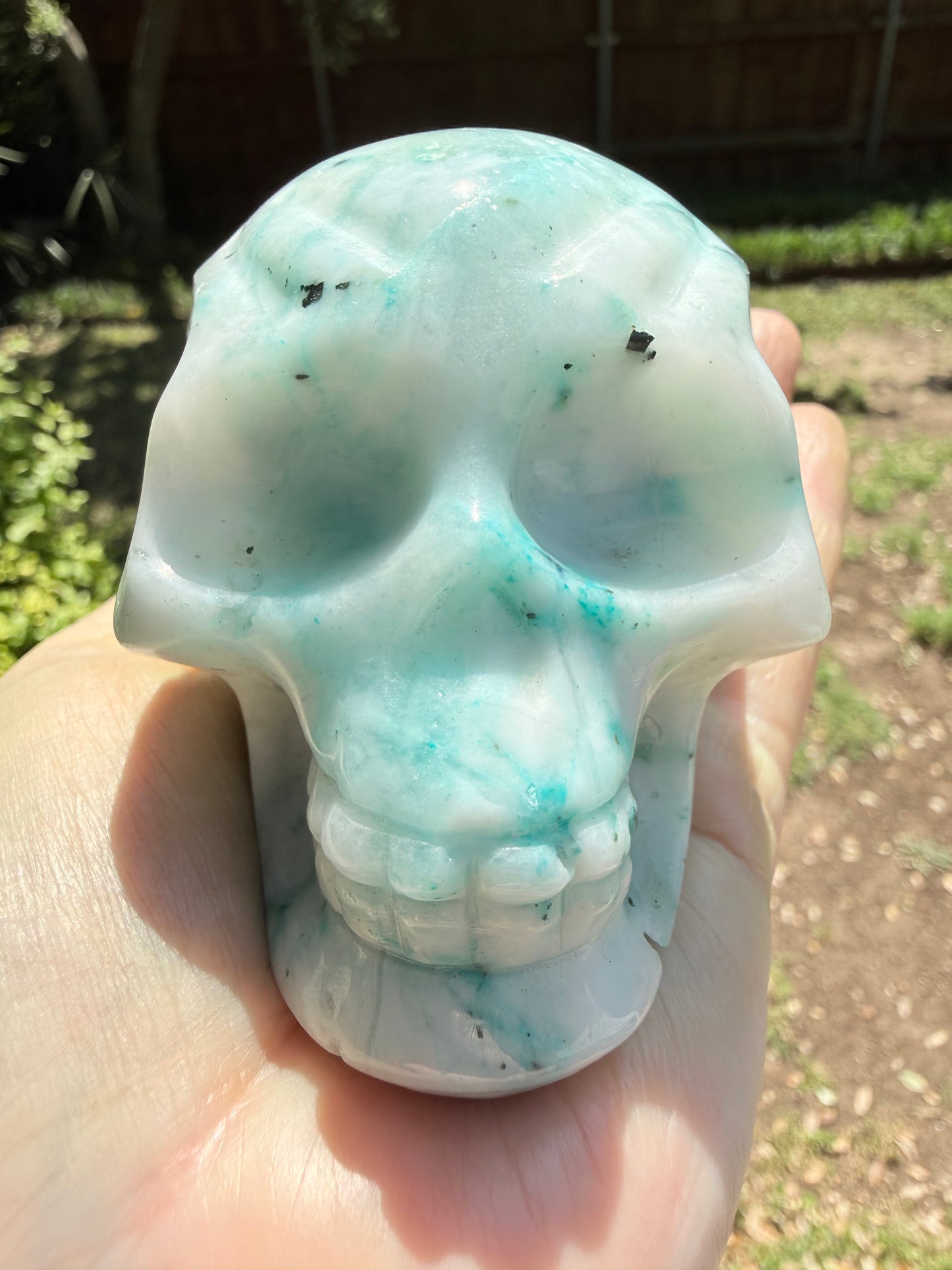 Phoenix Skull, 3.25”, fantastic color, rare stone