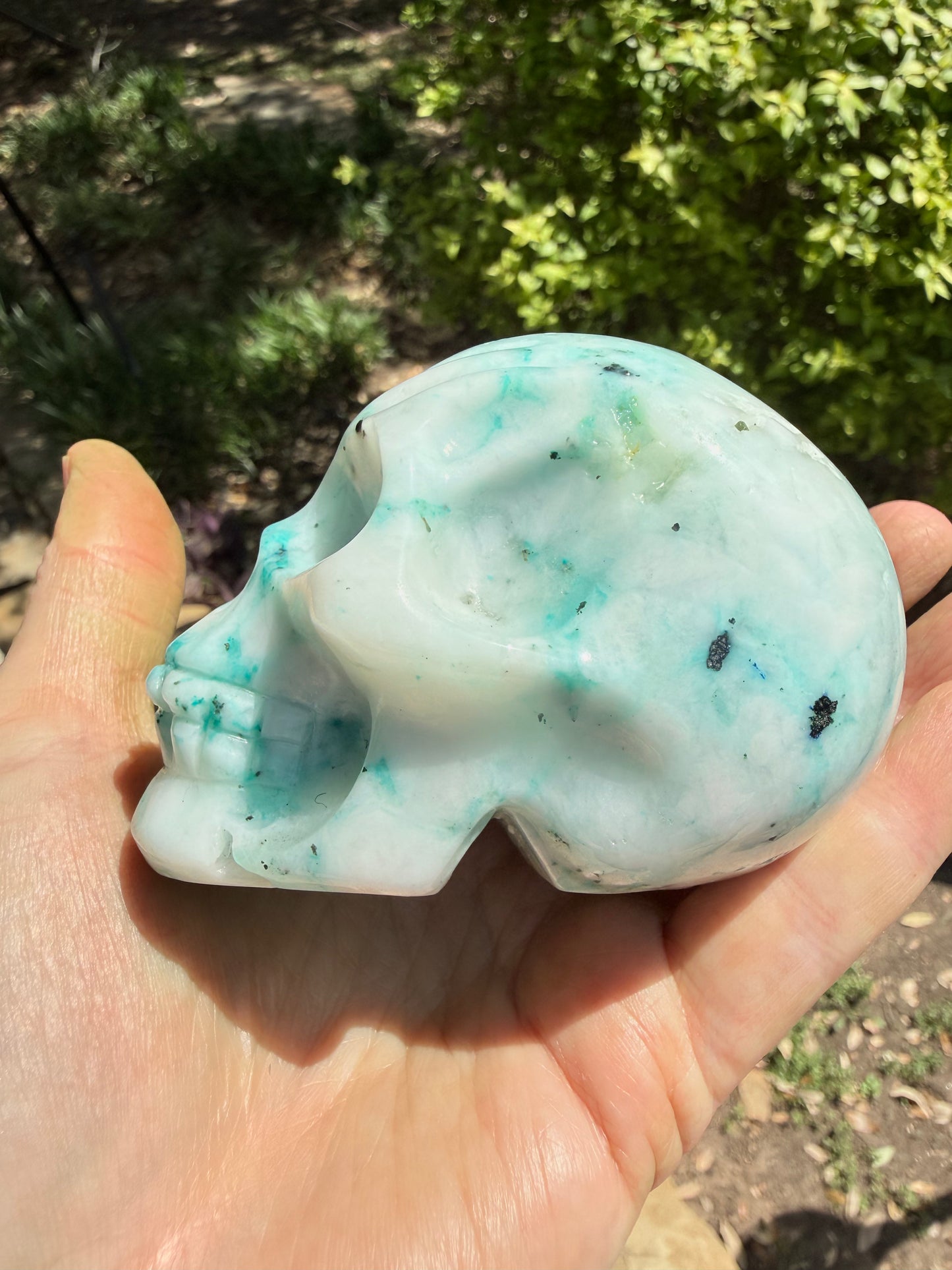 Phoenix Skull, 3.25”, fantastic color, rare stone