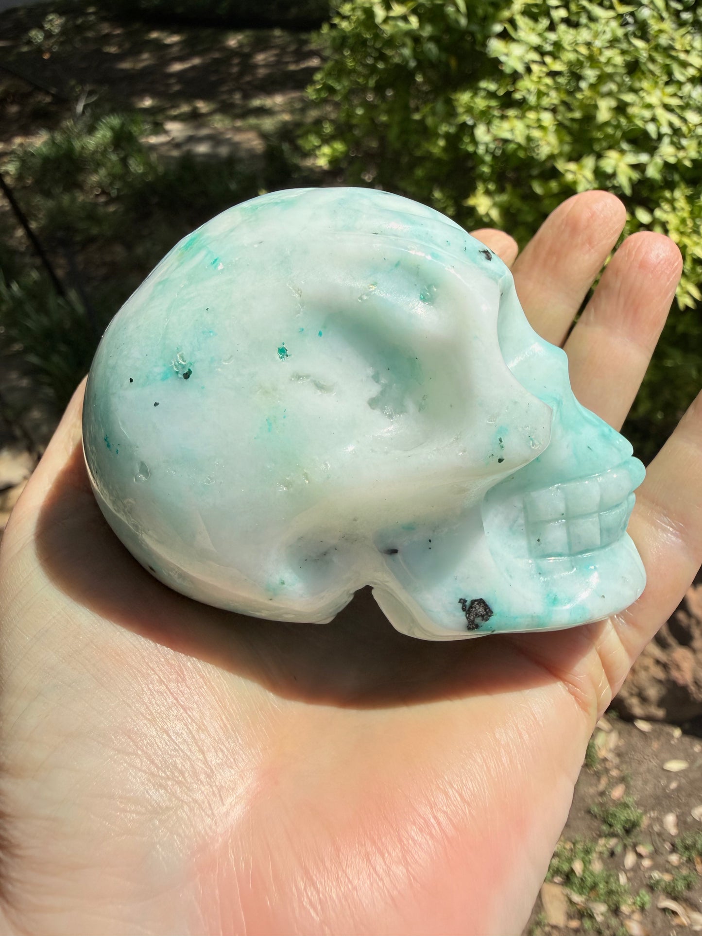 Phoenix Skull, 3.25”, fantastic color, rare stone