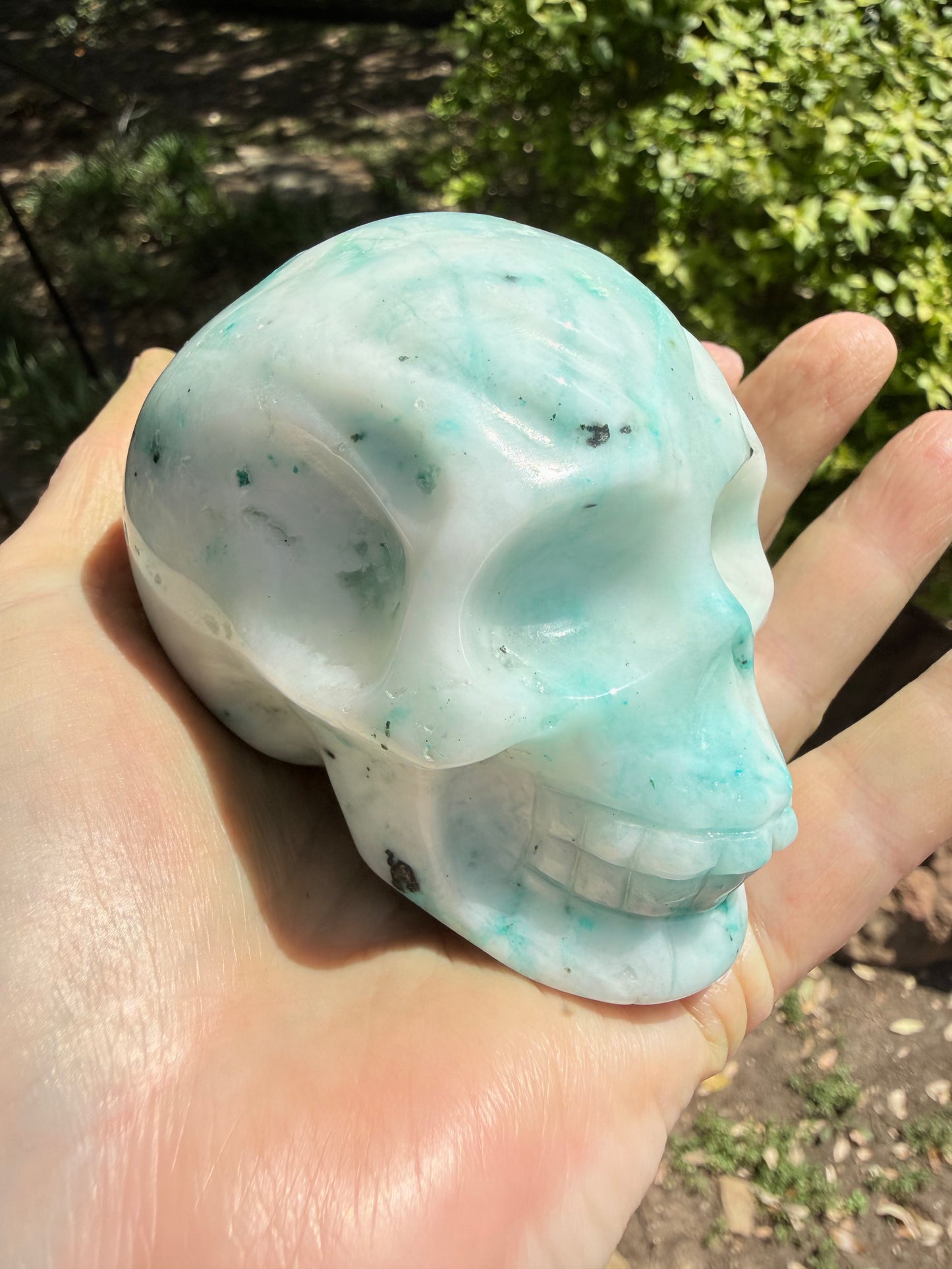 Phoenix Skull, 3.25”, fantastic color, rare stone