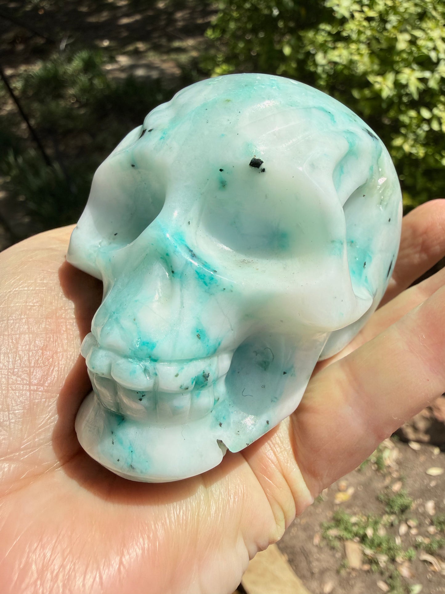 Phoenix Skull, 3.25”, fantastic color, rare stone