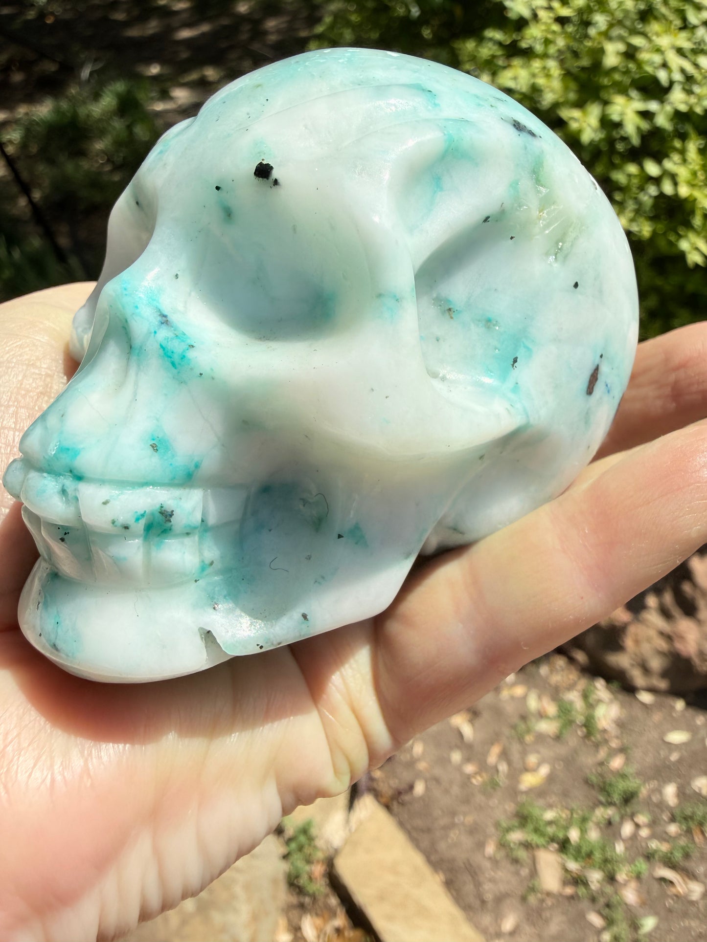 Phoenix Skull, 3.25”, fantastic color, rare stone