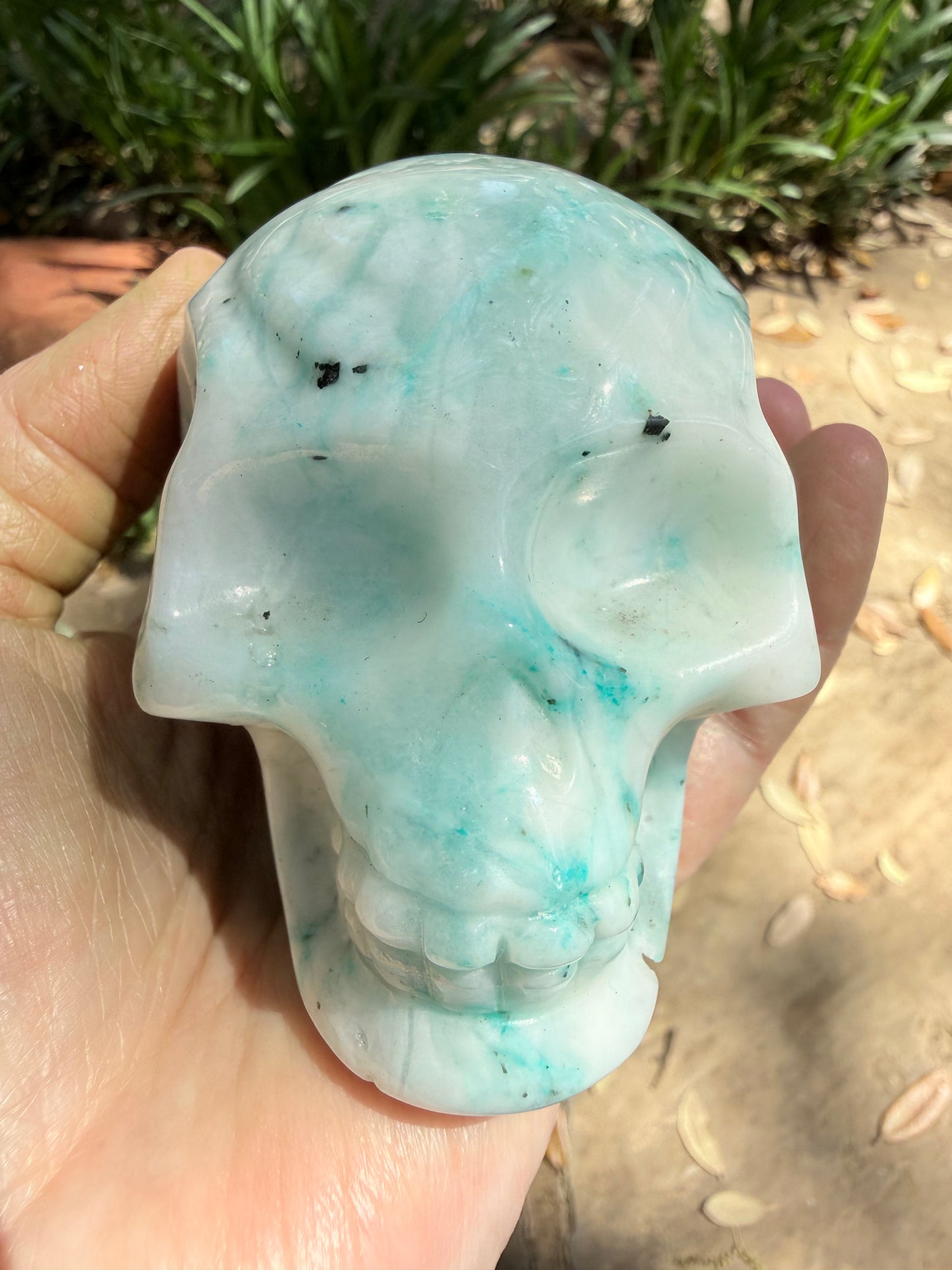 Phoenix Skull, 3.25”, fantastic color, rare stone