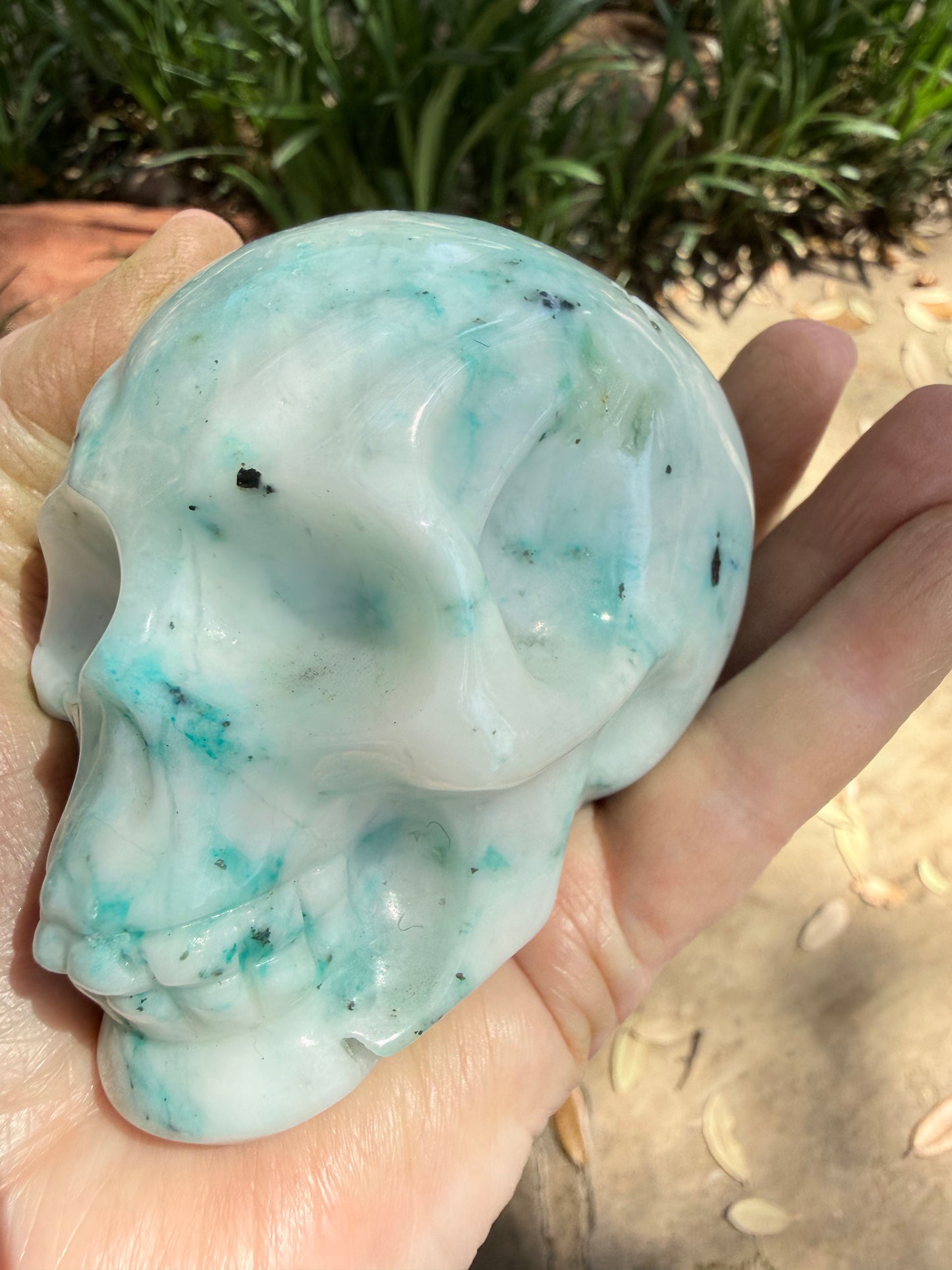 Phoenix Skull, 3.25”, fantastic color, rare stone