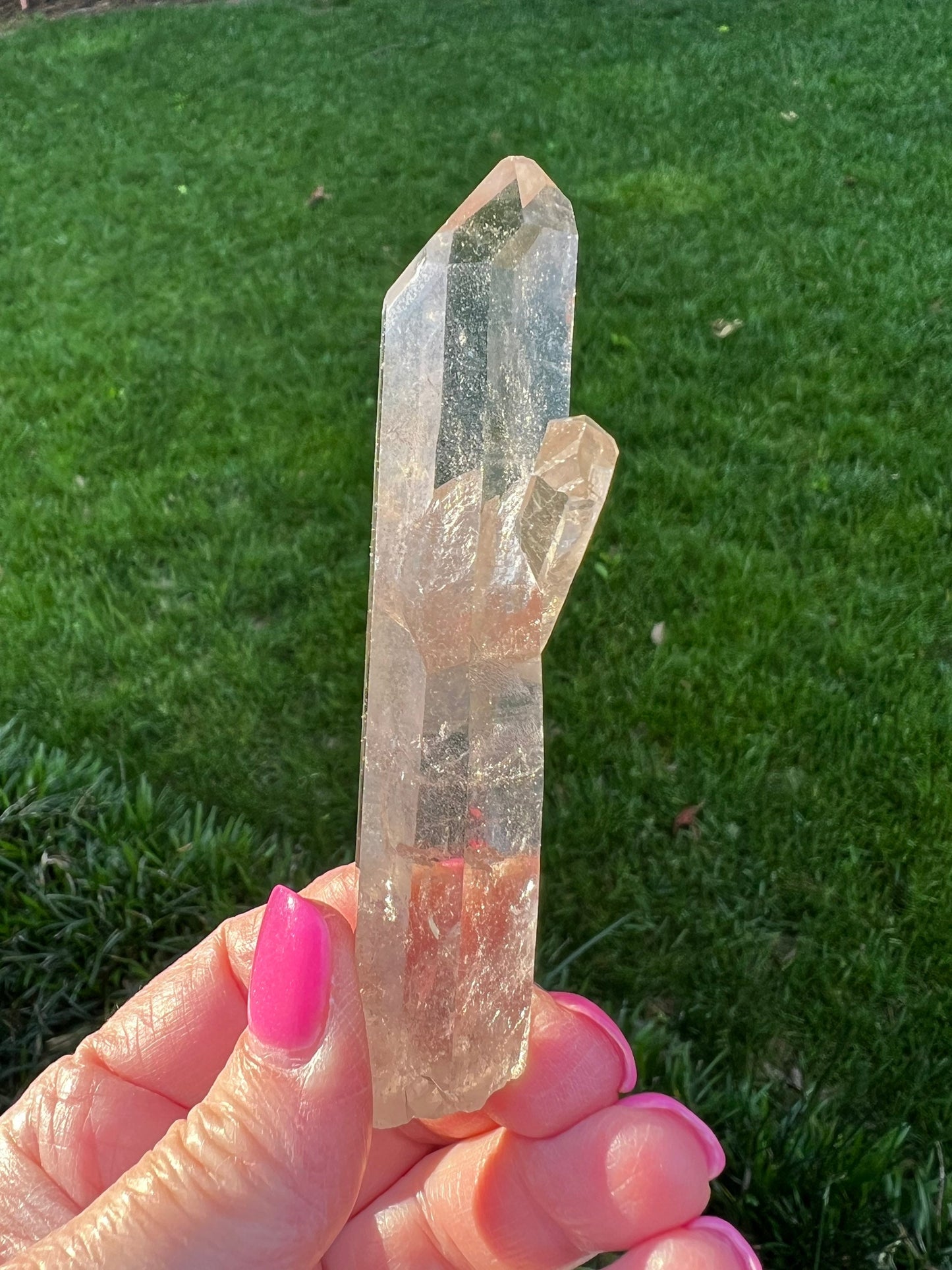 Lemurian Quartz wand family, new, fine, Lemurian healing, magick crystal, point, high vibration healing