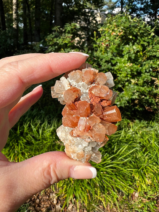 Sparkly Aragonite Raw Palm Stone, New, High Grade, essential grounding crystal, high vibration crystals healing, altar