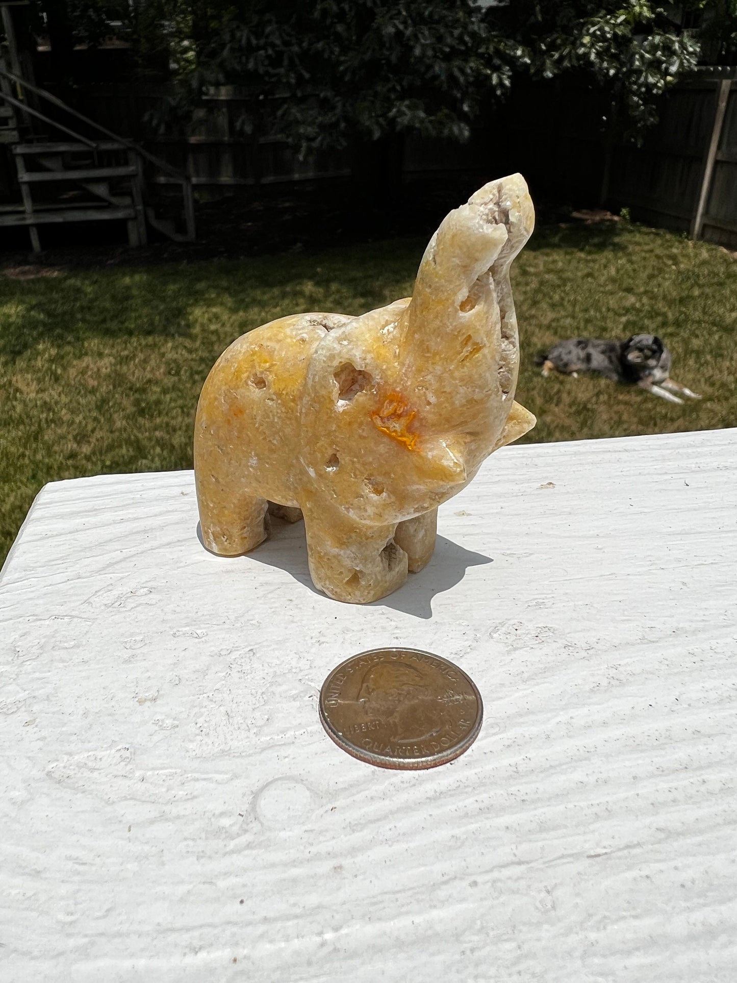 Druzy Bumblebee Jasper Elephant, 2.5”, crystal healing, high vibration crystals, altar, gifts