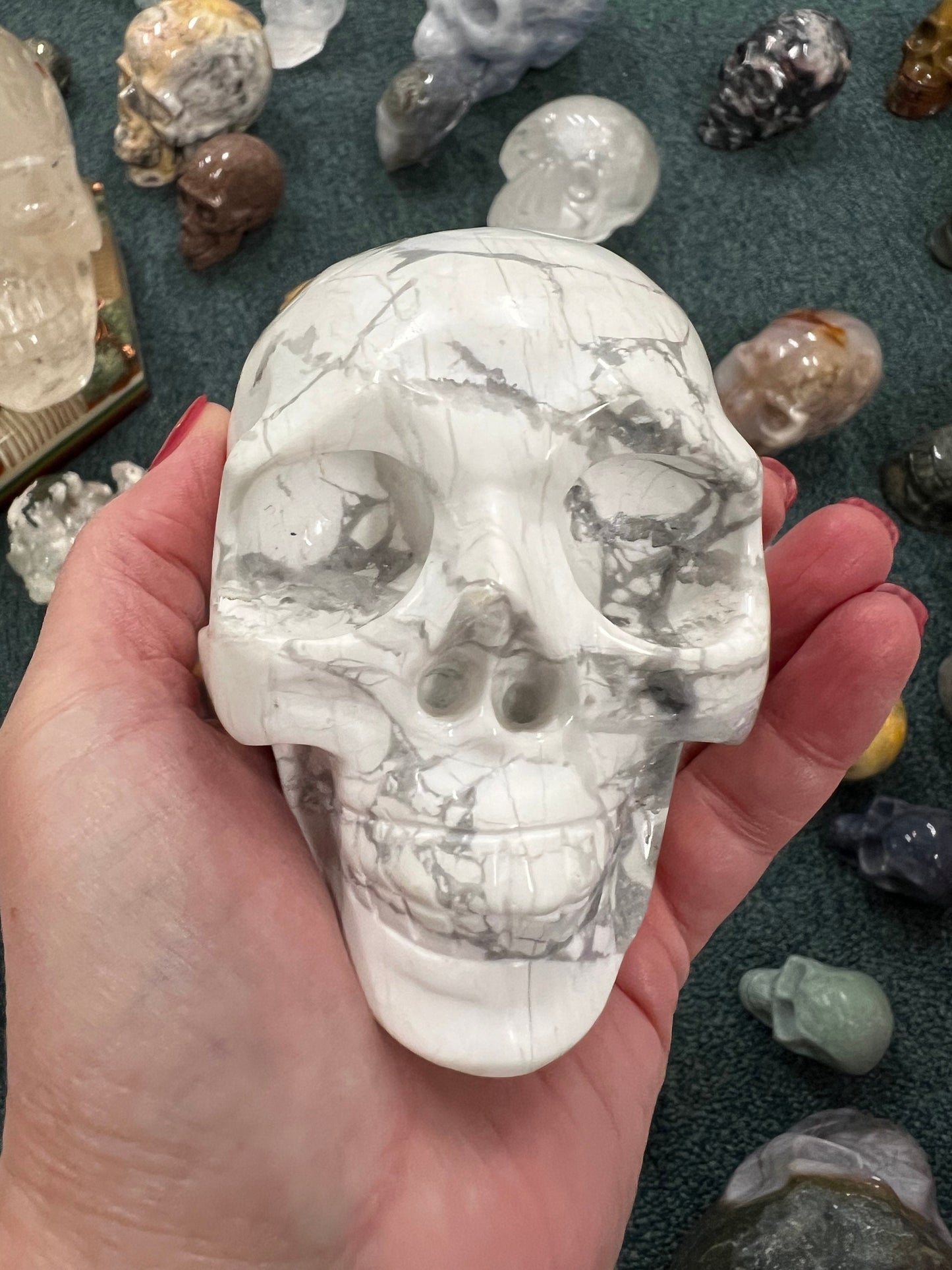 Large Howlite Skull, polished, high vibration crystals, altar, gifts, 3.75”, crystal healing