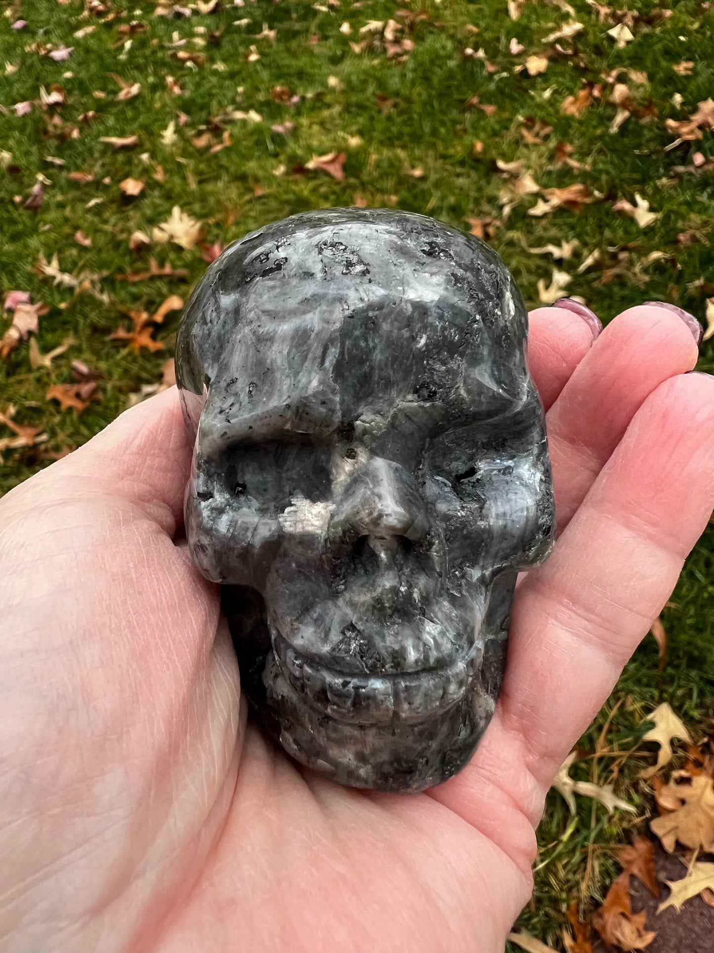 Larvakite Skull 3” w/ labradorescence, New, Large, Gift, High Frequency Crystals, Crystal Healing