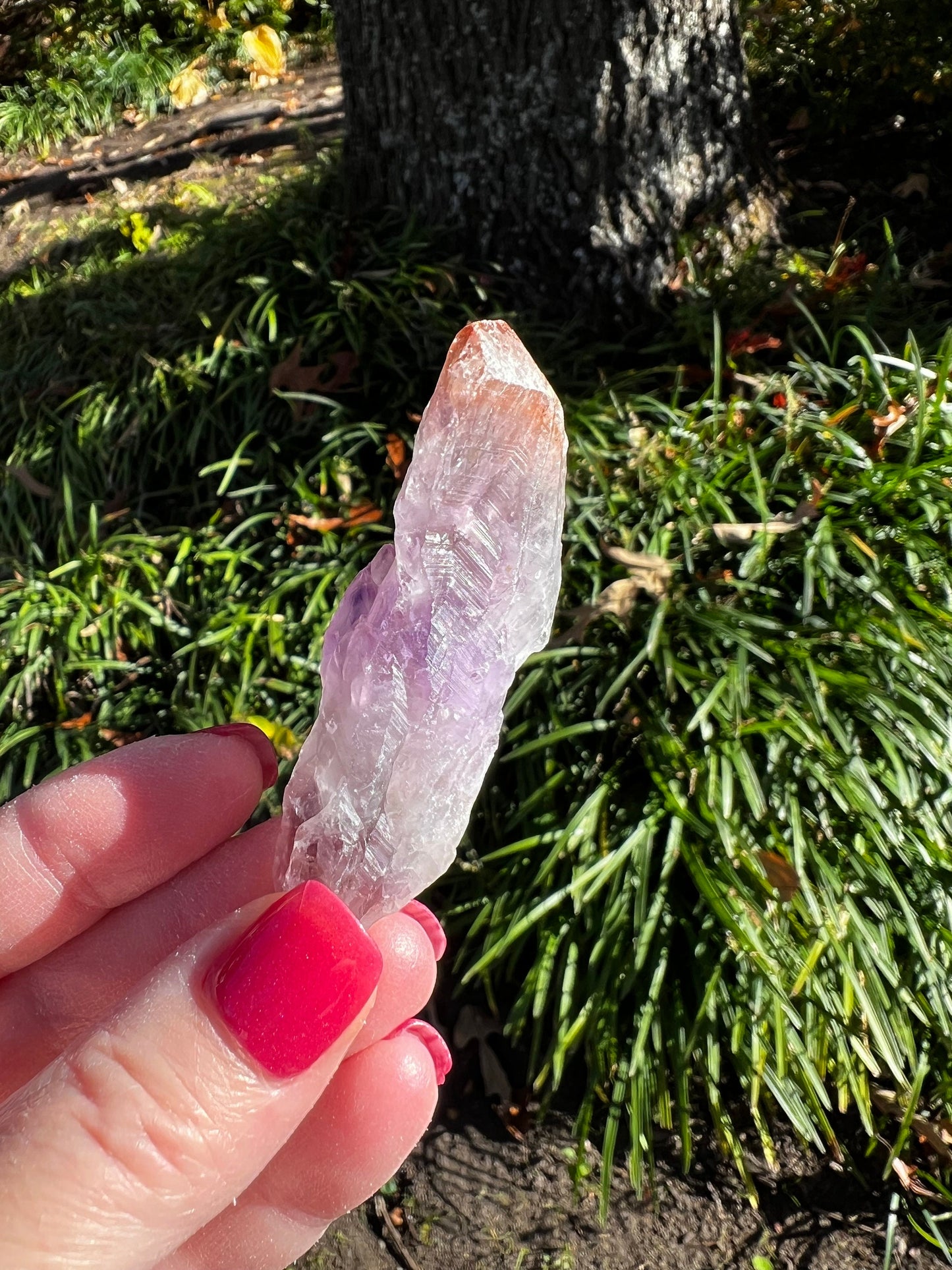 Beautiful Auralite-23 wand, raw and authentic, 3”, new, crystal healing