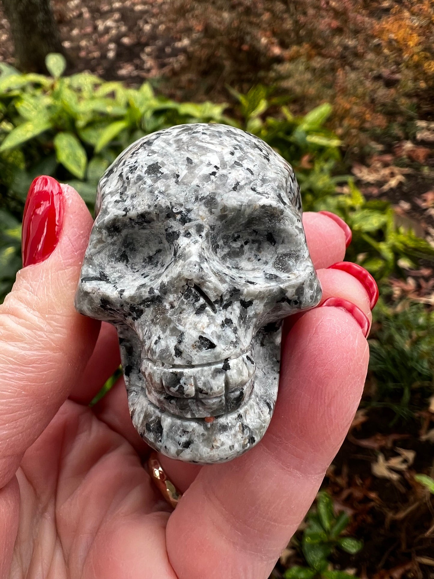 Kiwi Stone Skull, New, Crystal Healing, 2.25”, Gift, altar, high vibration crystals