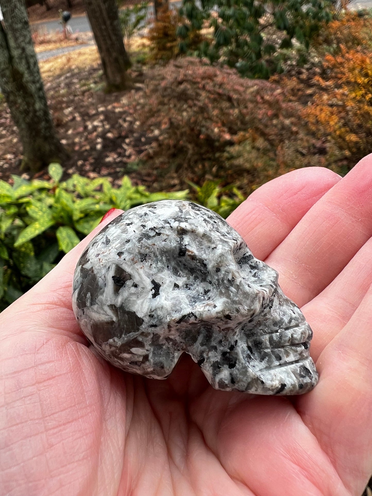 Kiwi Stone Skull, New, Crystal Healing, 2.25”, Gift, altar, high vibration crystals