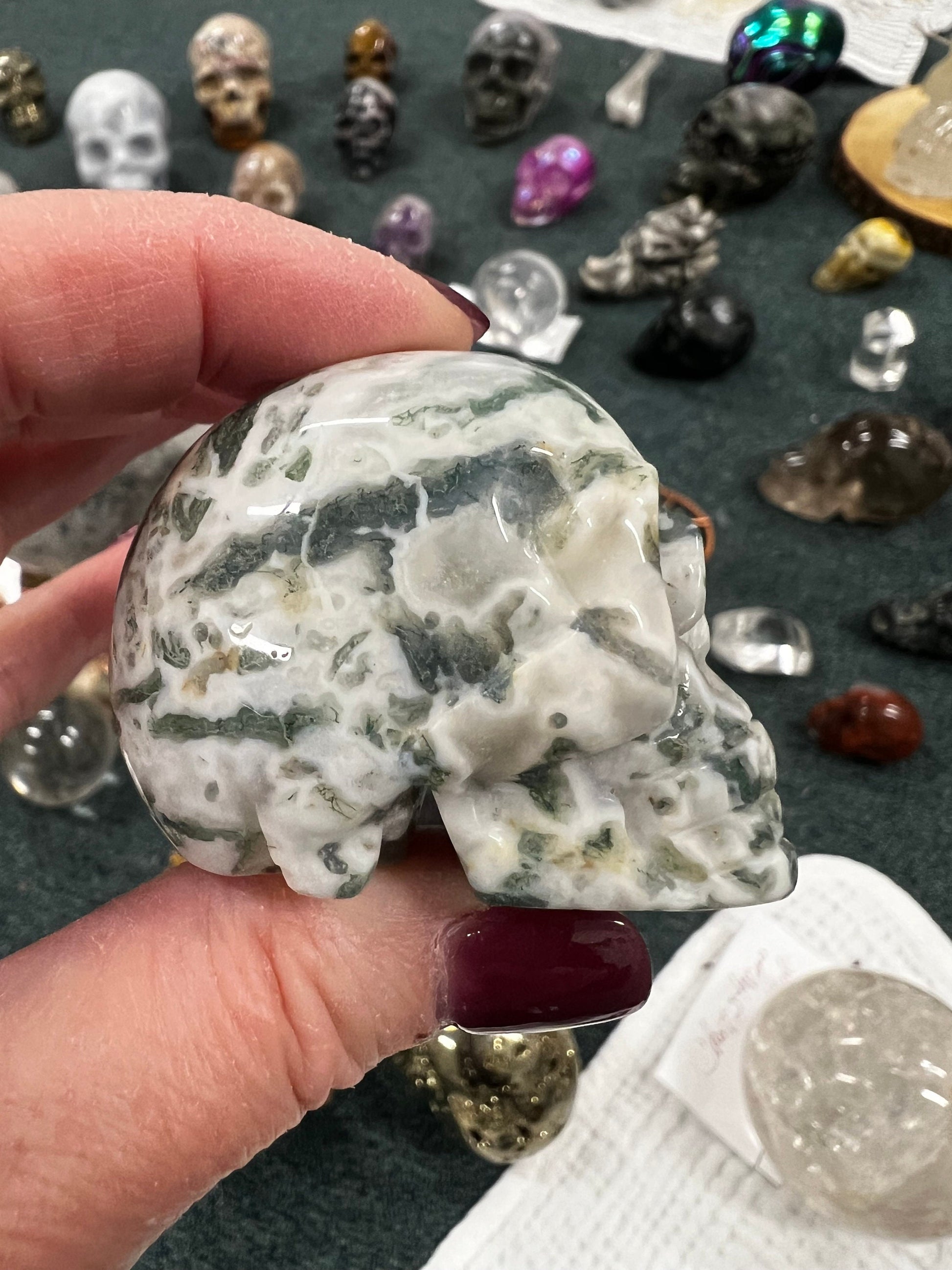 Druzy Tree Agate 2” Skull, beautifully carved, sparkly druzy, crystal healing, high vibration crystals