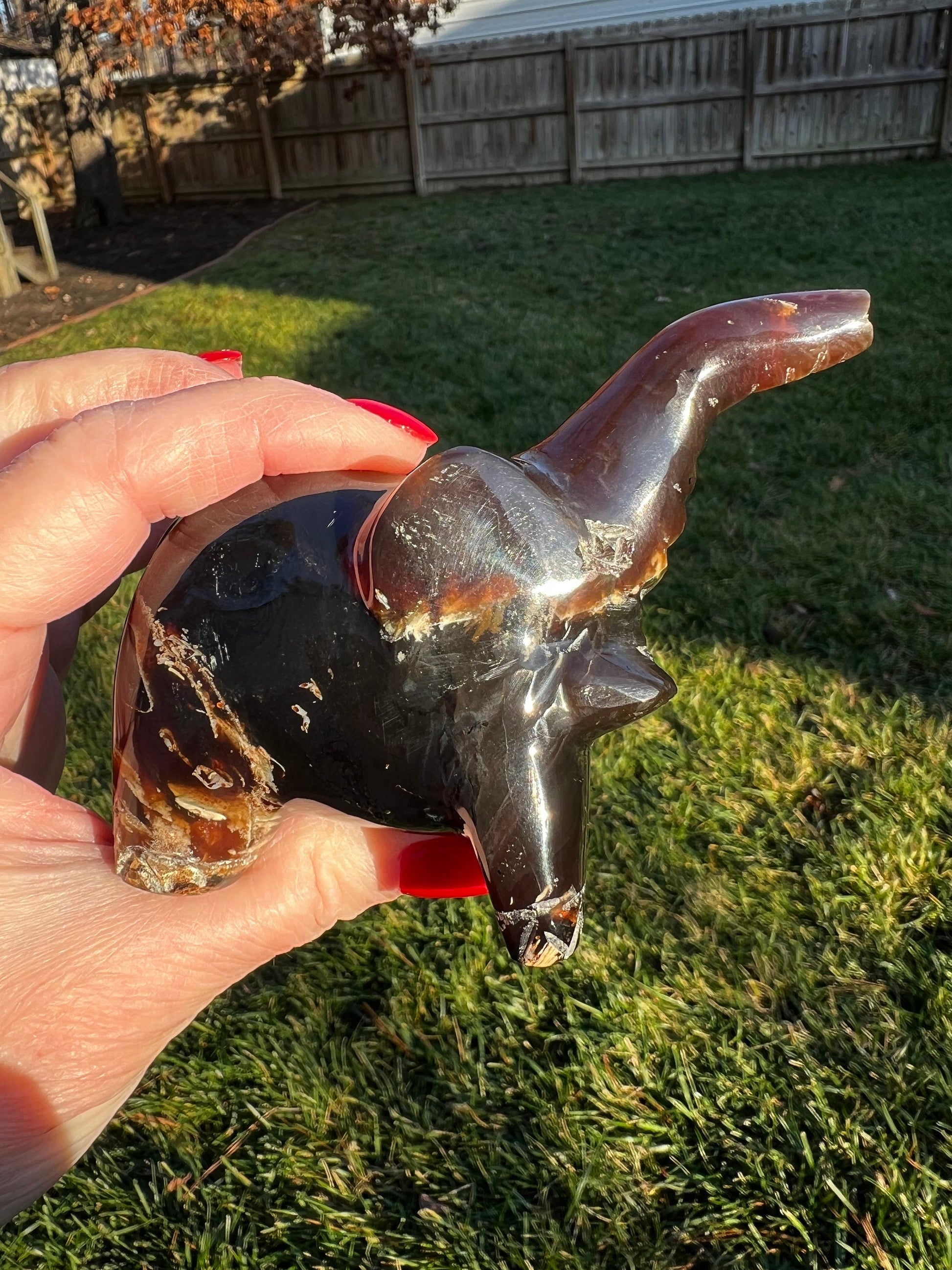 Large beautiful amber elephant carving, new in shop, 3.75”, crystal healing, high vibration healing sessions, gifts