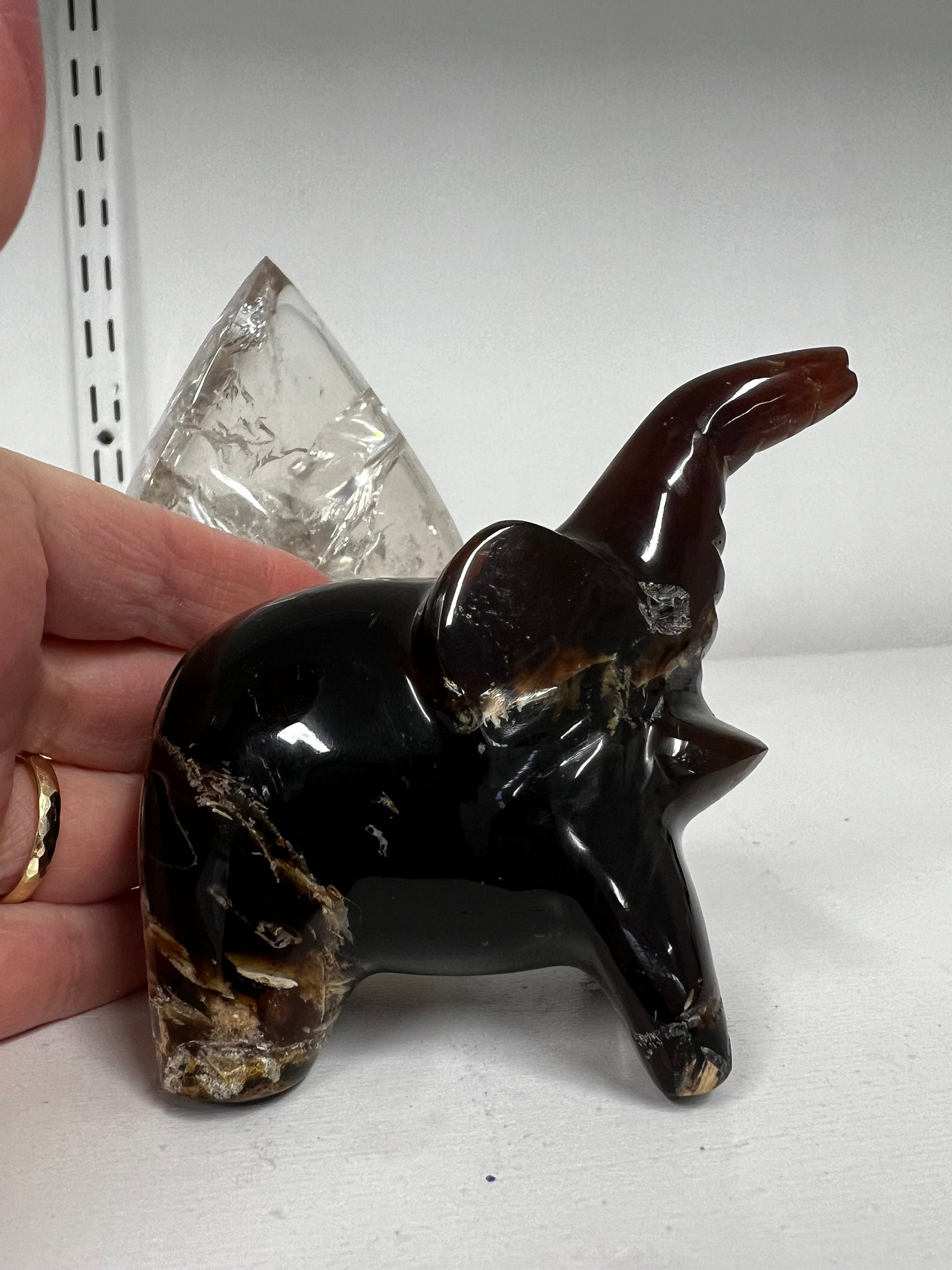 Large beautiful amber elephant carving, new in shop, 3.75”, crystal healing, high vibration healing sessions, gifts