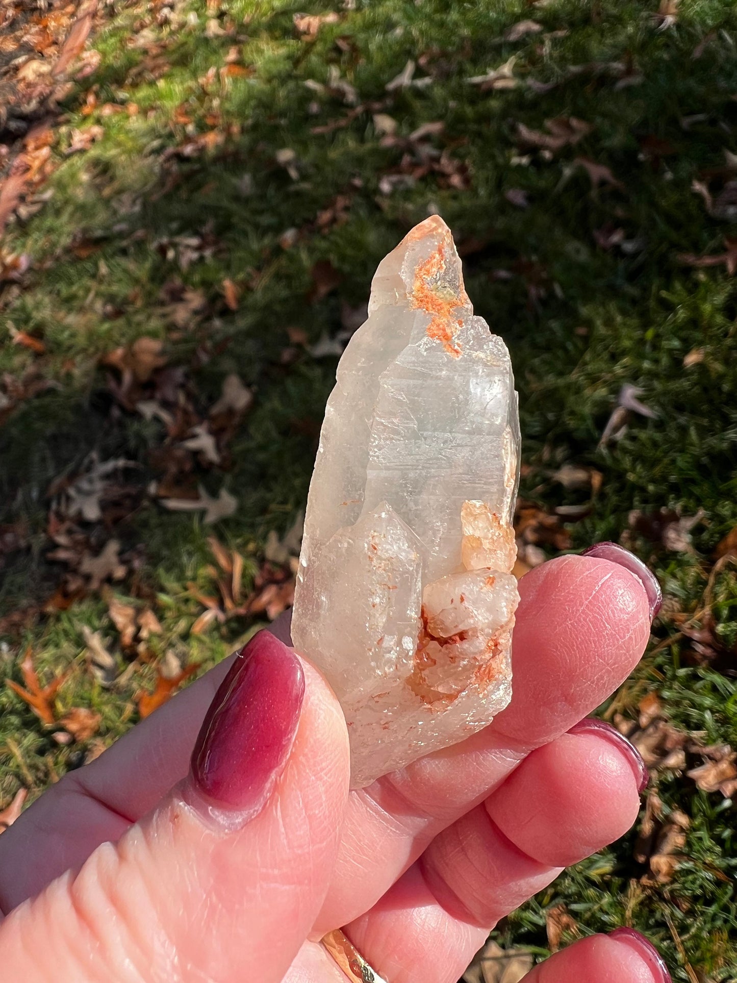 Lemurian Point Hematite, Red Magick Collection, 2.6”, keys and striations, natural, high vibration crystal healing