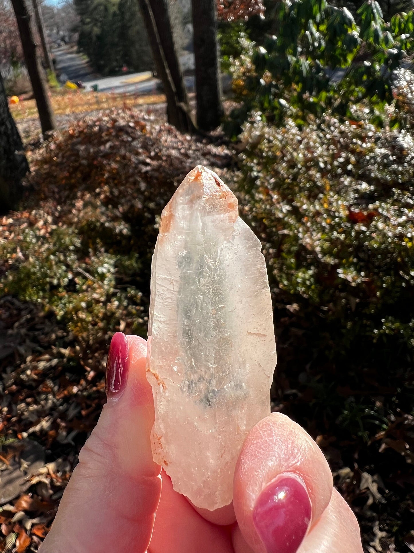 Lemurian Point Hematite, Red Magick Collection, 2.6”, keys and striations, natural, high vibration crystal healing