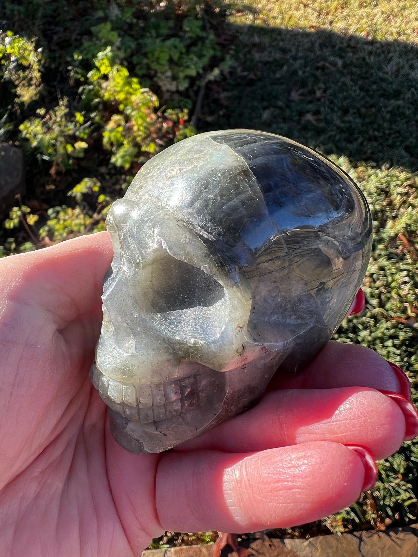 Labradorite Skull, 3x2”, gorgeous rainbow flash, new, high vibration healing, spiritual tools