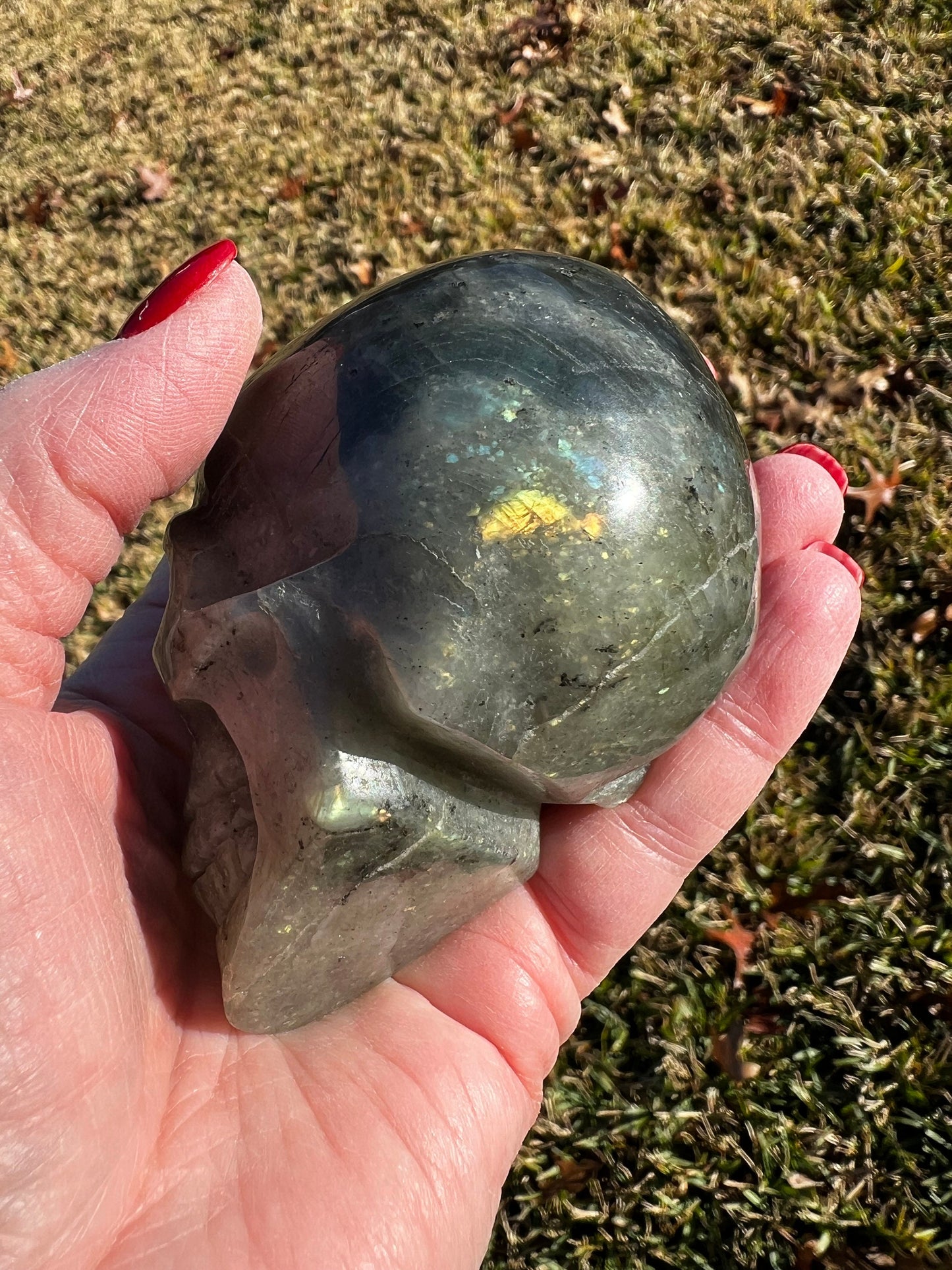 Labradorite Skull, 3x2”, gorgeous rainbow flash, new, high vibration healing, spiritual tools