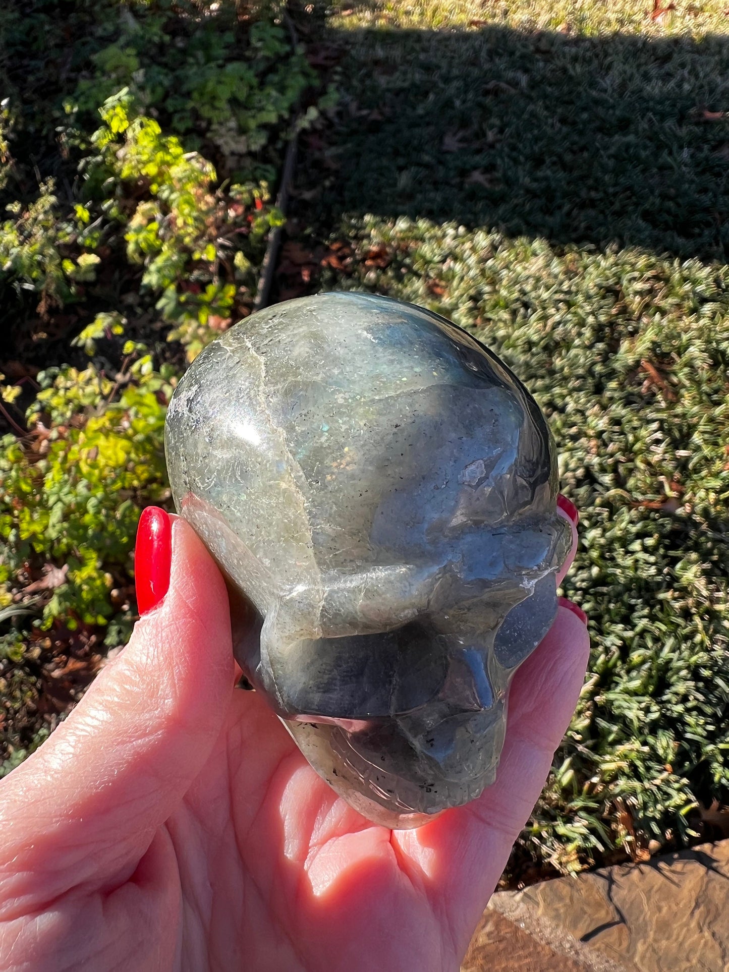 Labradorite Skull, 3x2”, gorgeous rainbow flash, new, high vibration healing, spiritual tools