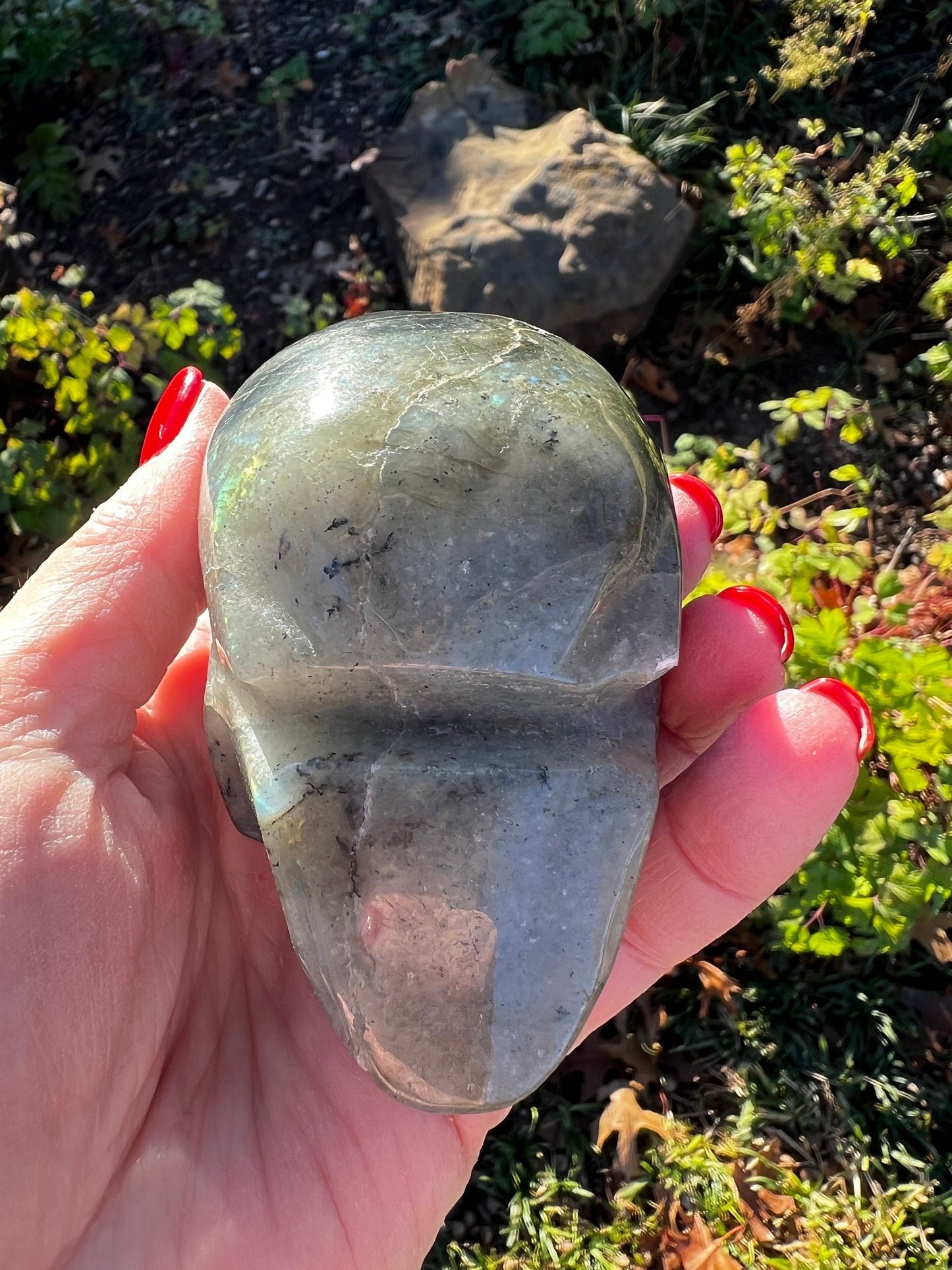 Labradorite Skull, 3x2”, gorgeous rainbow flash, new, high vibration healing, spiritual tools