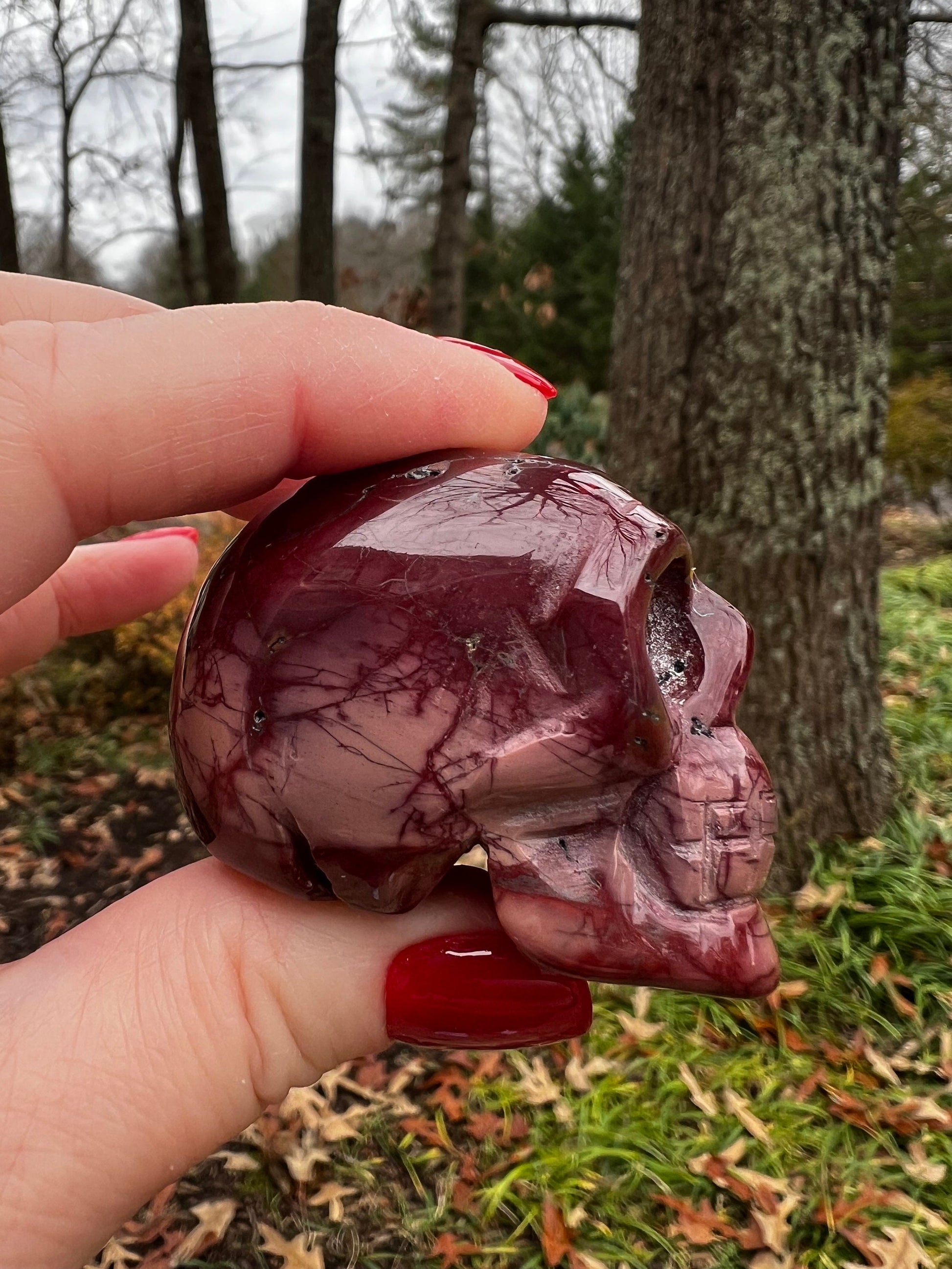 Burgundy Mookaite 1.9” Skull, New, crystal healing, gifts, magick, high vibration crystals