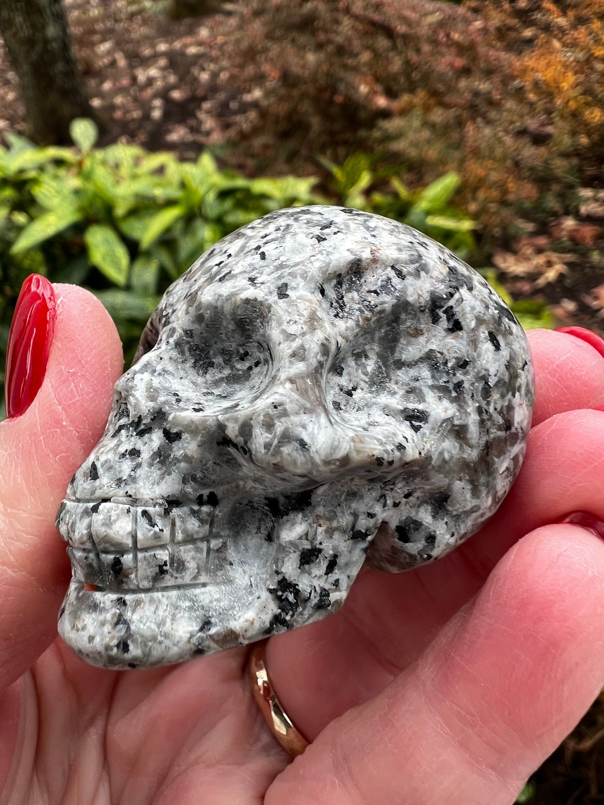 Kiwi Stone Skull, New, Crystal Healing, 2.25”, Gift, altar, high vibration crystals