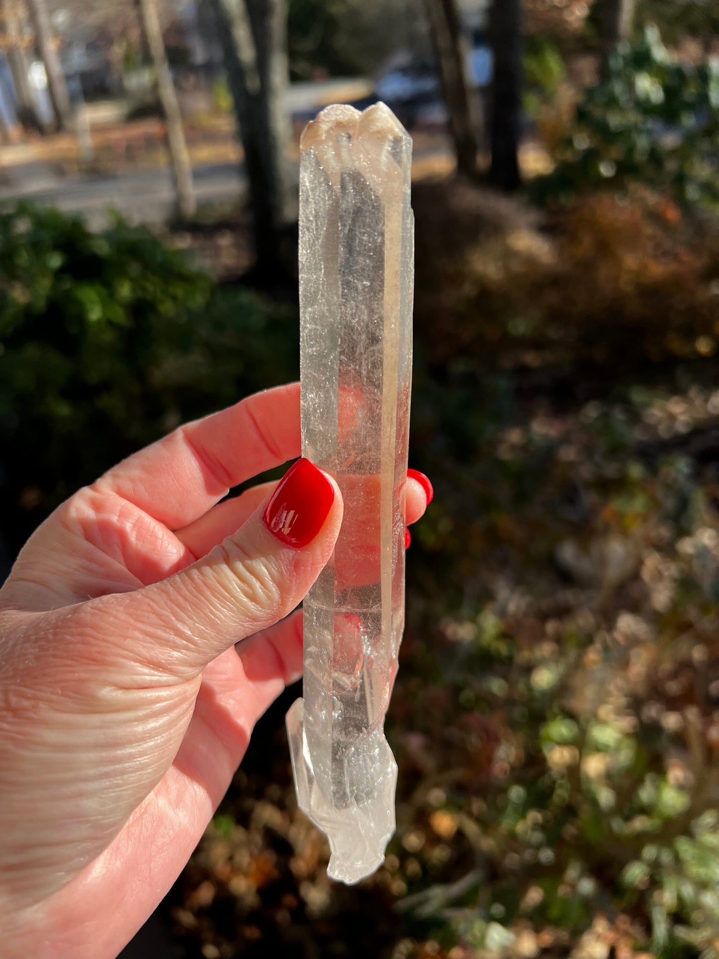 Laser Singing Lemurian 6.5”, with crown bottom, New, 126 grams, gift, altar, high vibration crystals