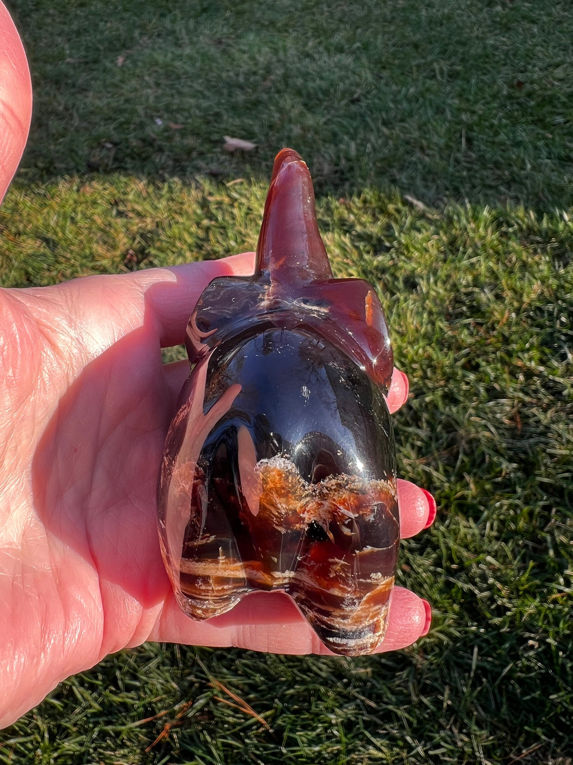 Large beautiful amber elephant carving, new in shop, 3.75”, crystal healing, high vibration healing sessions, gifts