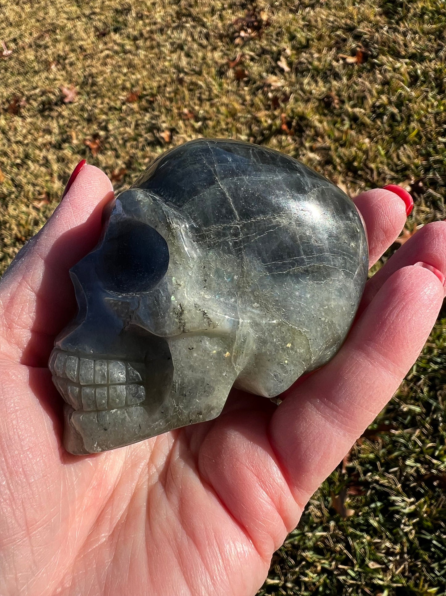 Labradorite Skull, 3x2”, gorgeous rainbow flash, new, high vibration healing, spiritual tools