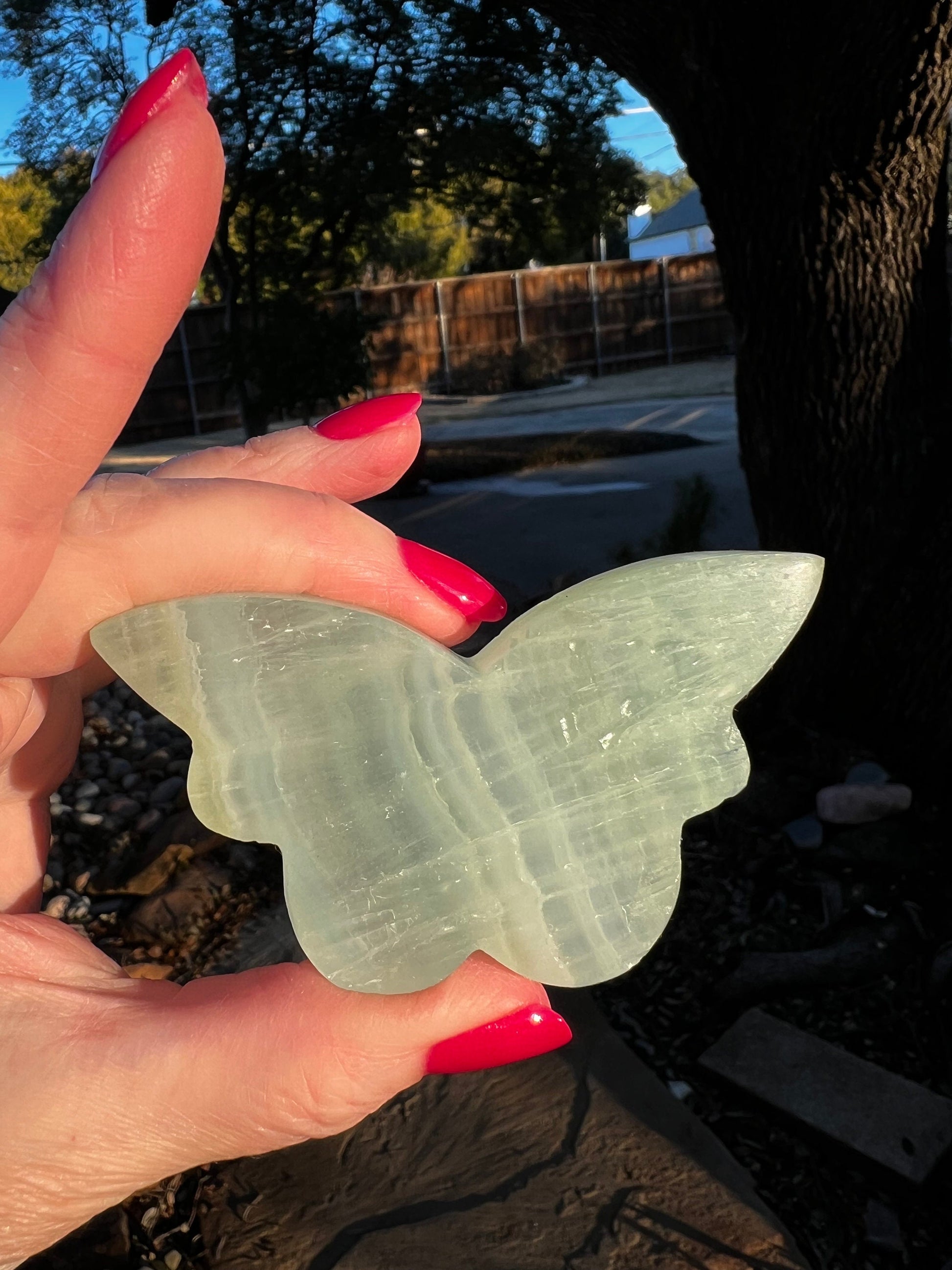 Pistachio Calcite Butterfly, crystal healing, high vibration crystals, gifts, 3”