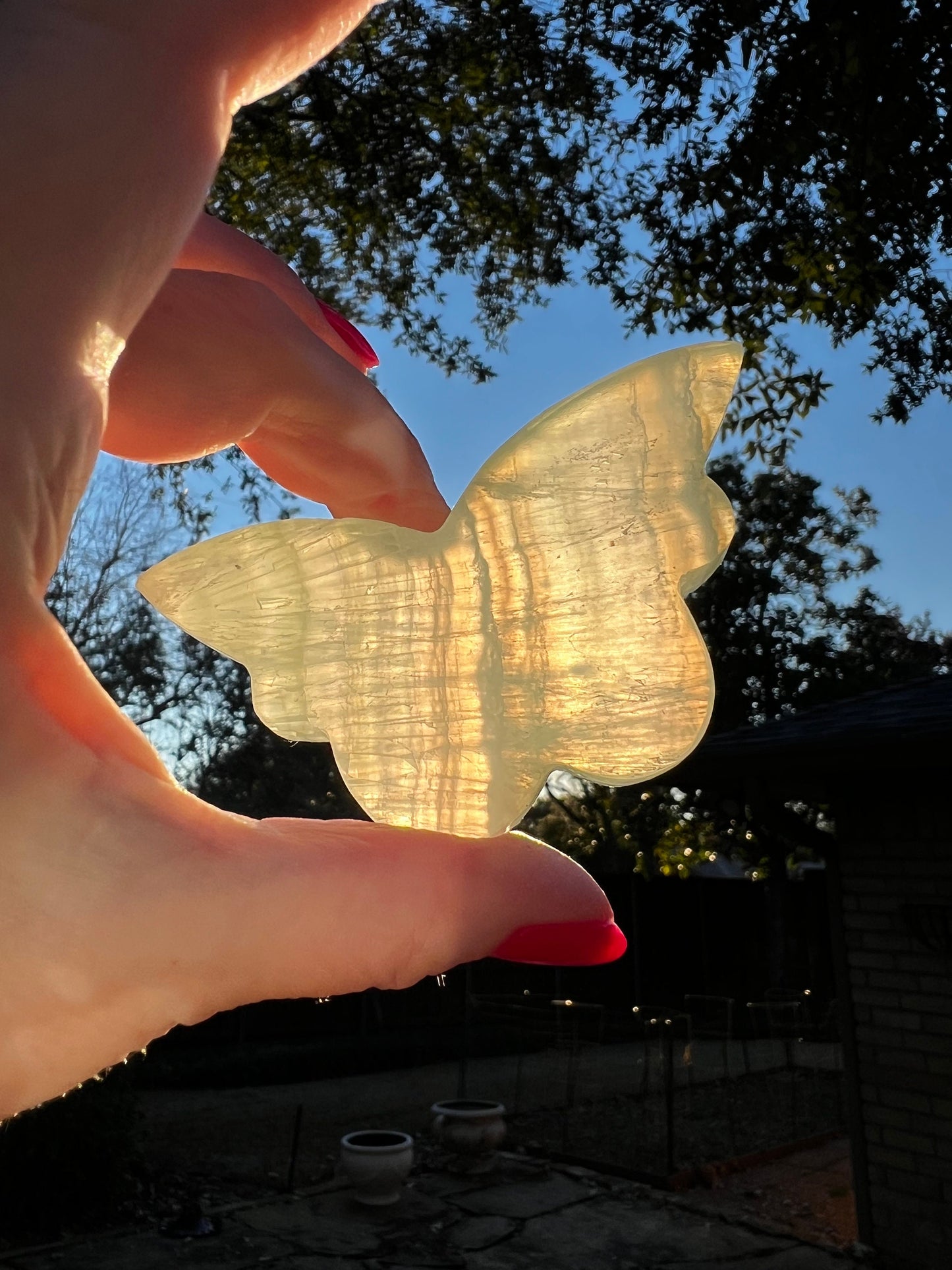 Pistachio Calcite Butterfly, crystal healing, high vibration crystals, gifts, 3”