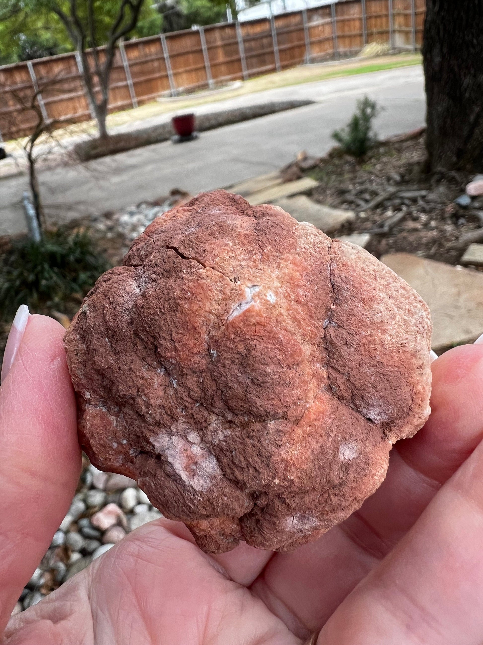 Pink Amethyst Druzy Geode, 2.25”, 3.3 ounces, authentic natural crystal fairy bed, gifts, crystals