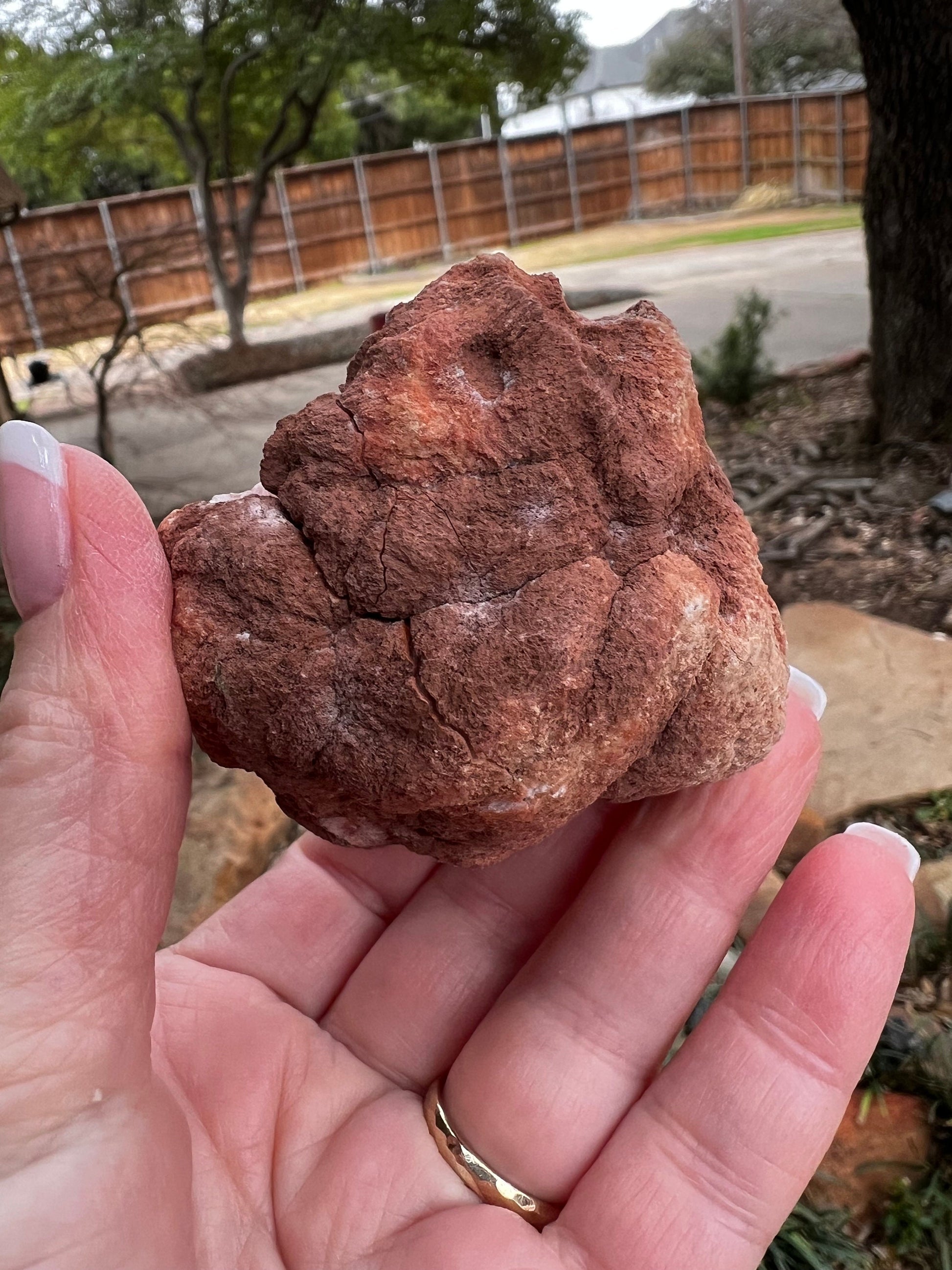 Pink Amethyst Druzy Geode, 2.25”, 3.3 ounces, authentic natural crystal fairy bed, gifts, crystals