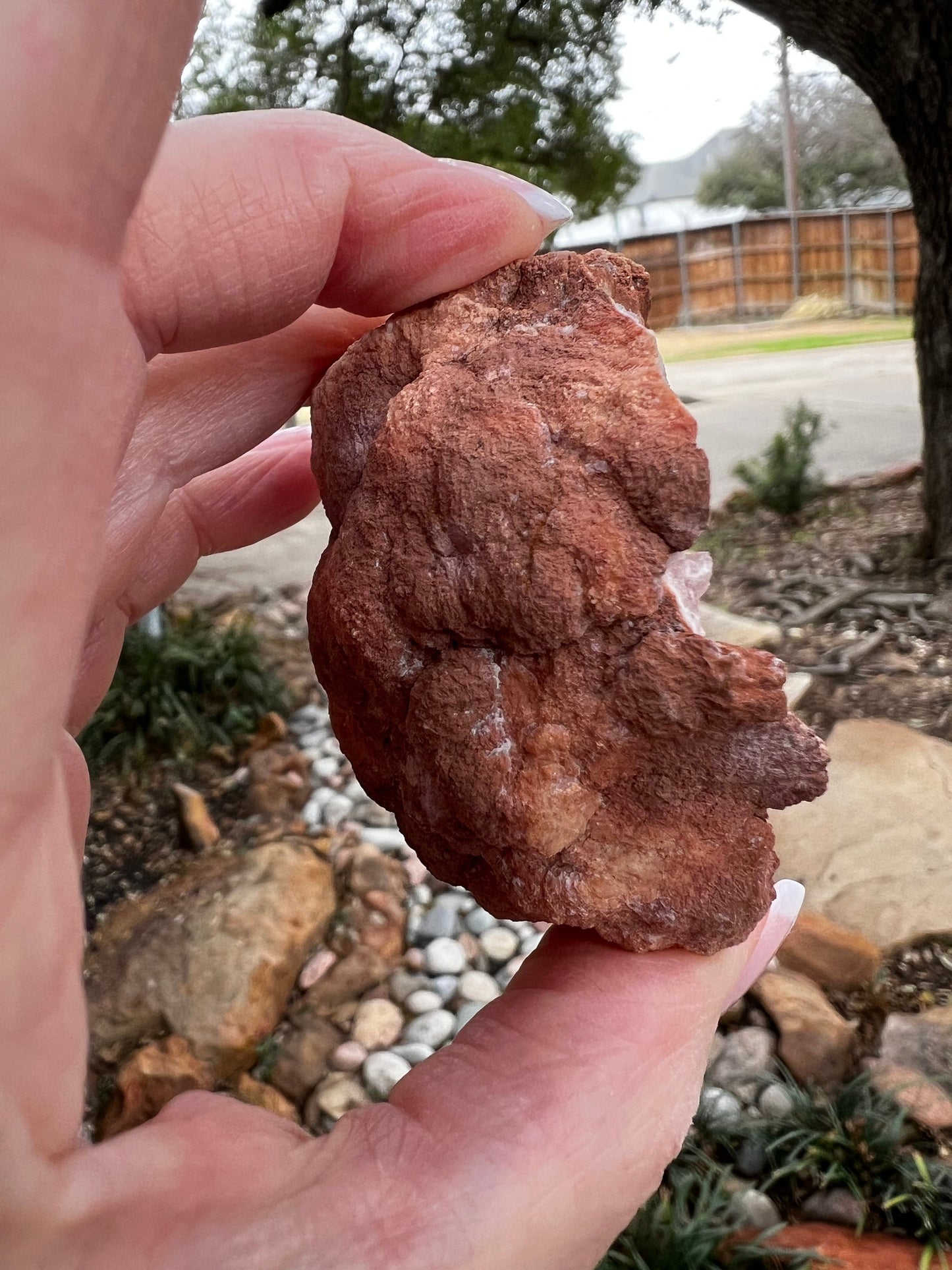 Pink Amethyst Druzy Geode, 2.25”, 3.3 ounces, authentic natural crystal fairy bed, gifts, crystals