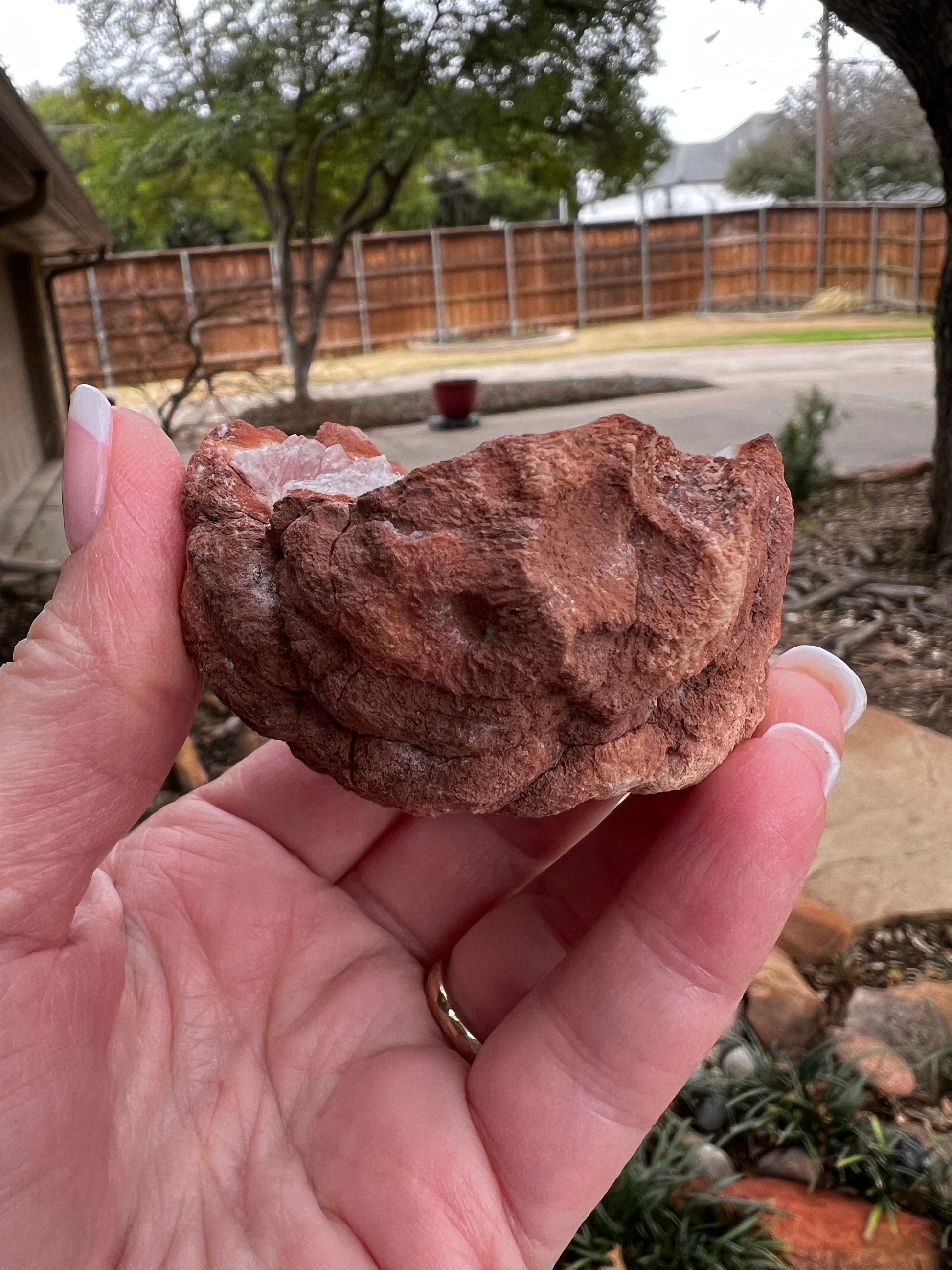 Pink Amethyst Druzy Geode, 2.25”, 3.3 ounces, authentic natural crystal fairy bed, gifts, crystals