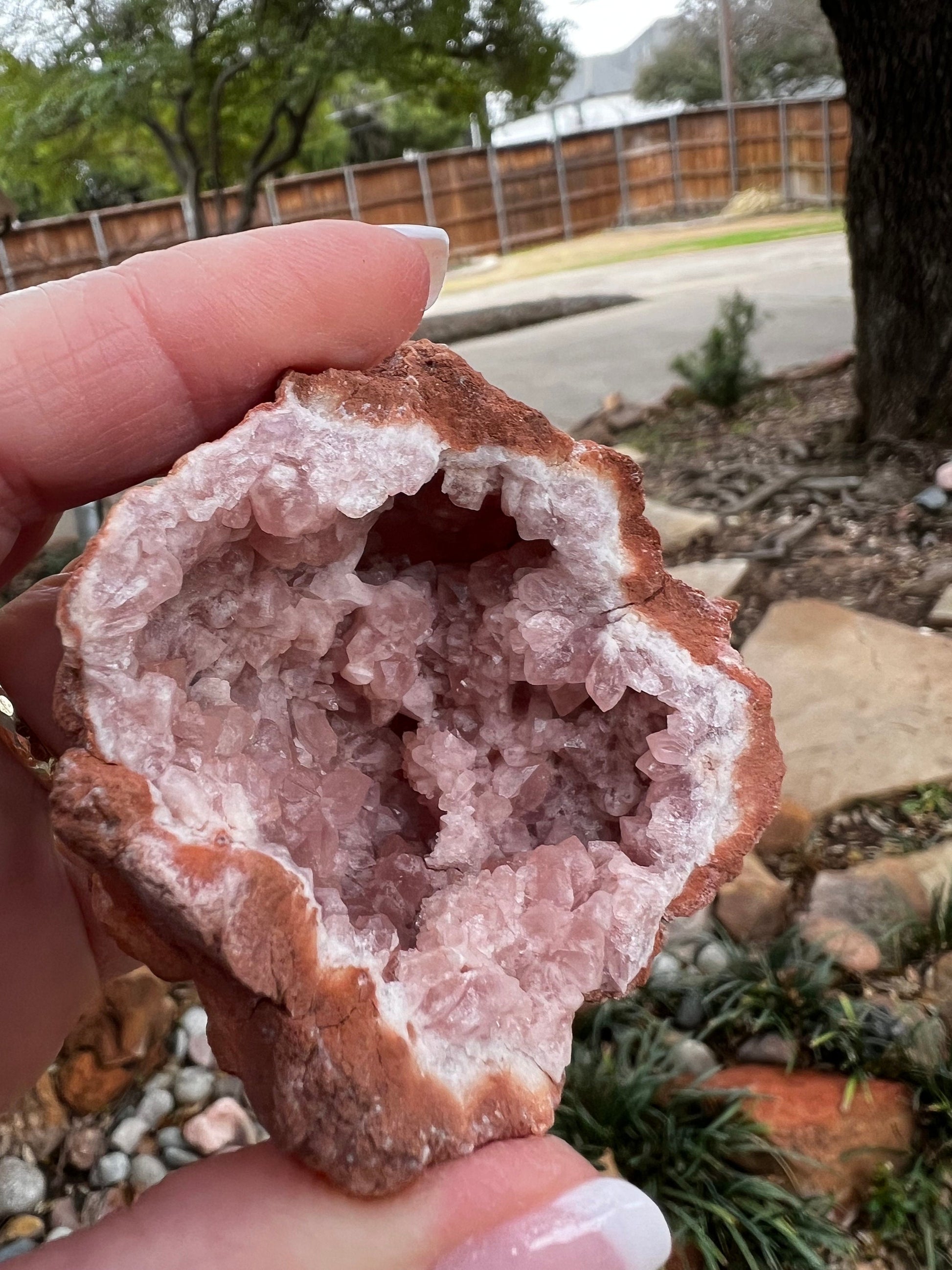 Pink Amethyst Druzy Geode, 2.25”, 3.3 ounces, authentic natural crystal fairy bed, gifts, crystals