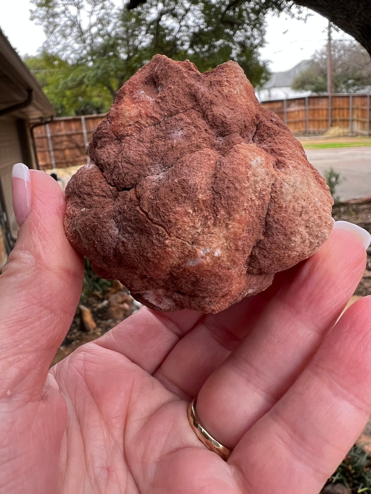 Pink Amethyst Druzy Geode, 2.25”, 3.3 ounces, authentic natural crystal fairy bed, gifts, crystals