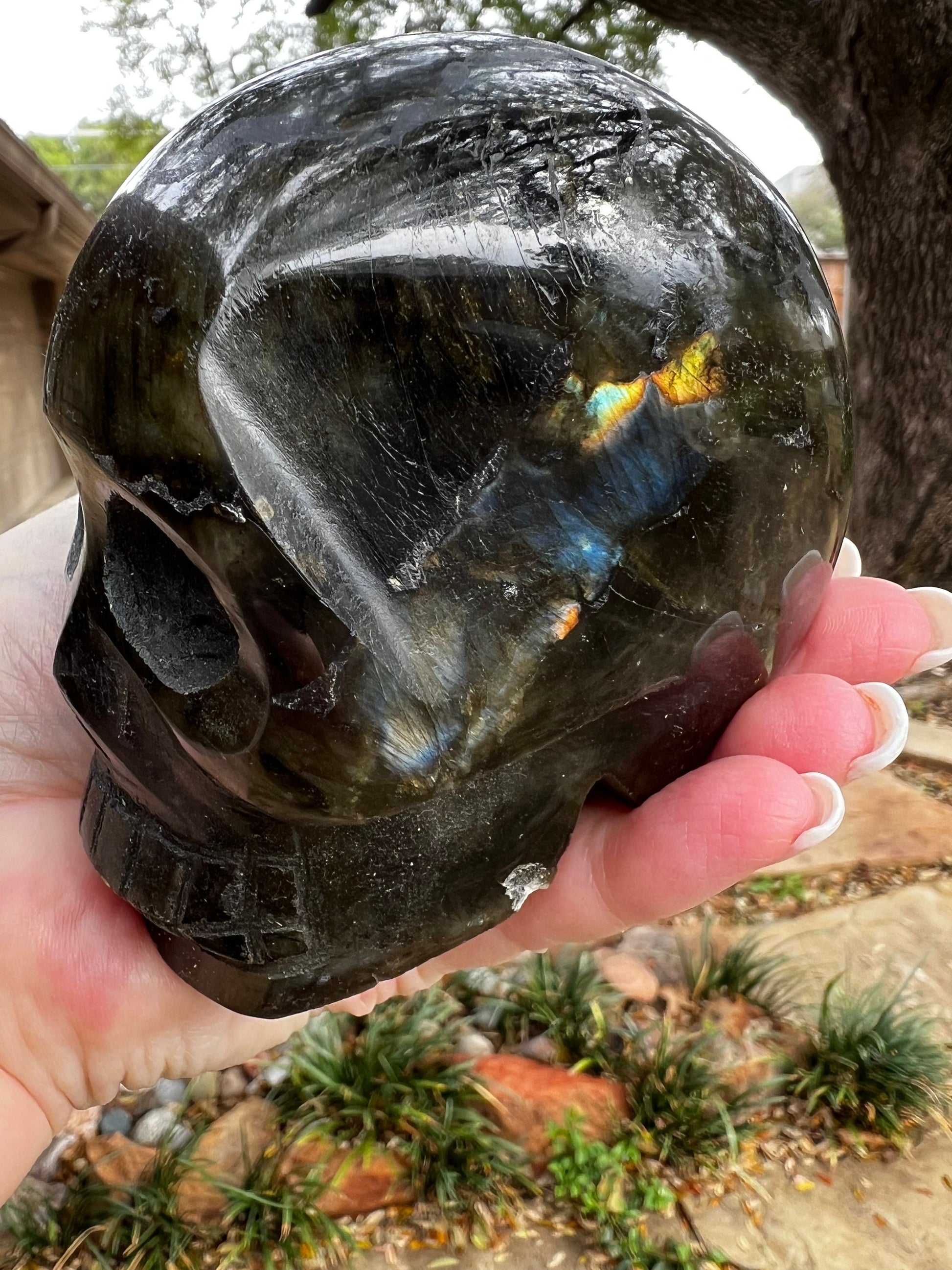 Labradorite Skull, 3.75”, stunning carving, new, high vibration healing, spiritual tools