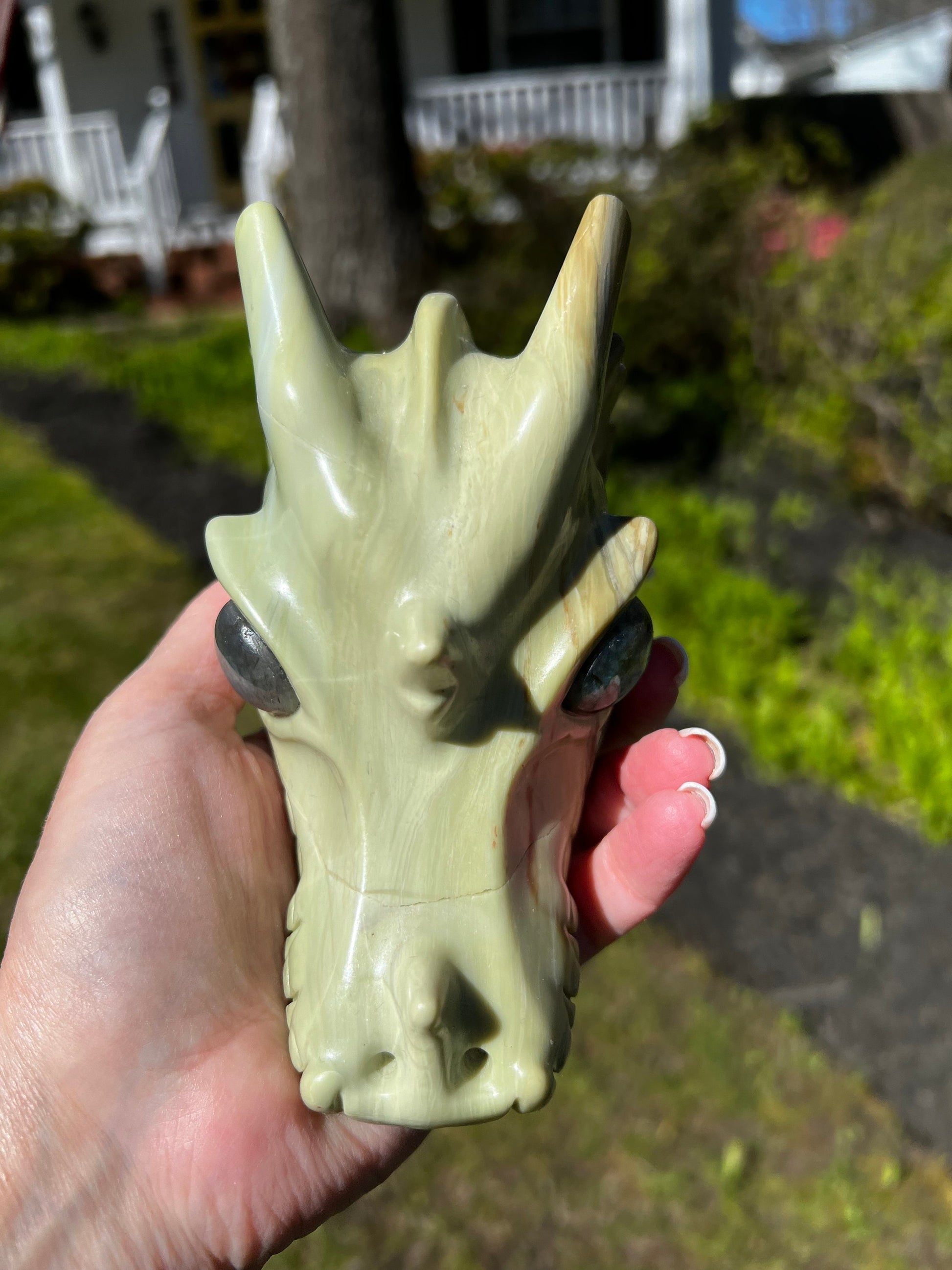 Butter Jade Dragon Head Skull 5”, new, beautiful carving, crystals healing practice, gift, altar