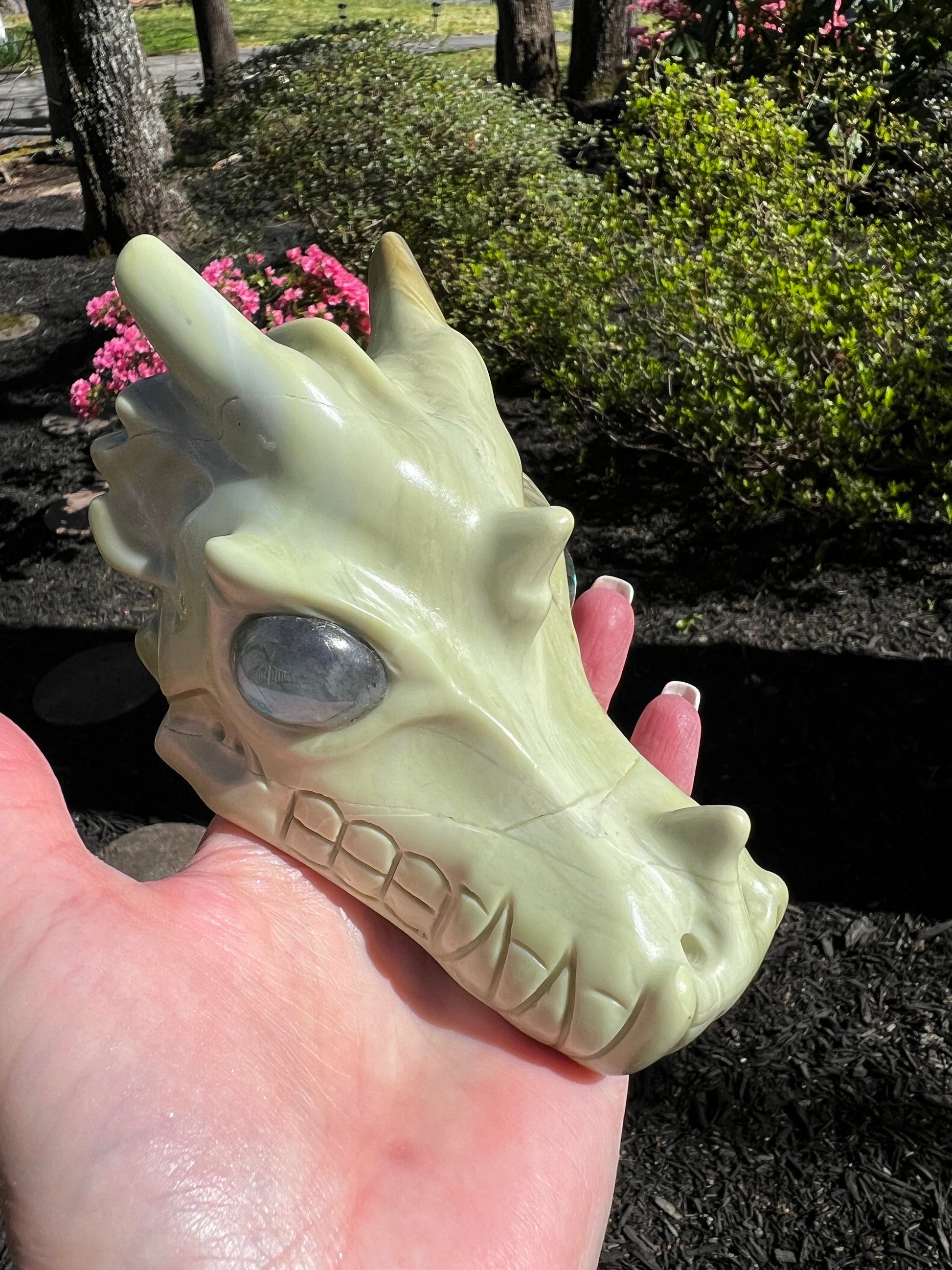 Butter Jade Dragon Head Skull 5”, new, beautiful carving, crystals healing practice, gift, altar