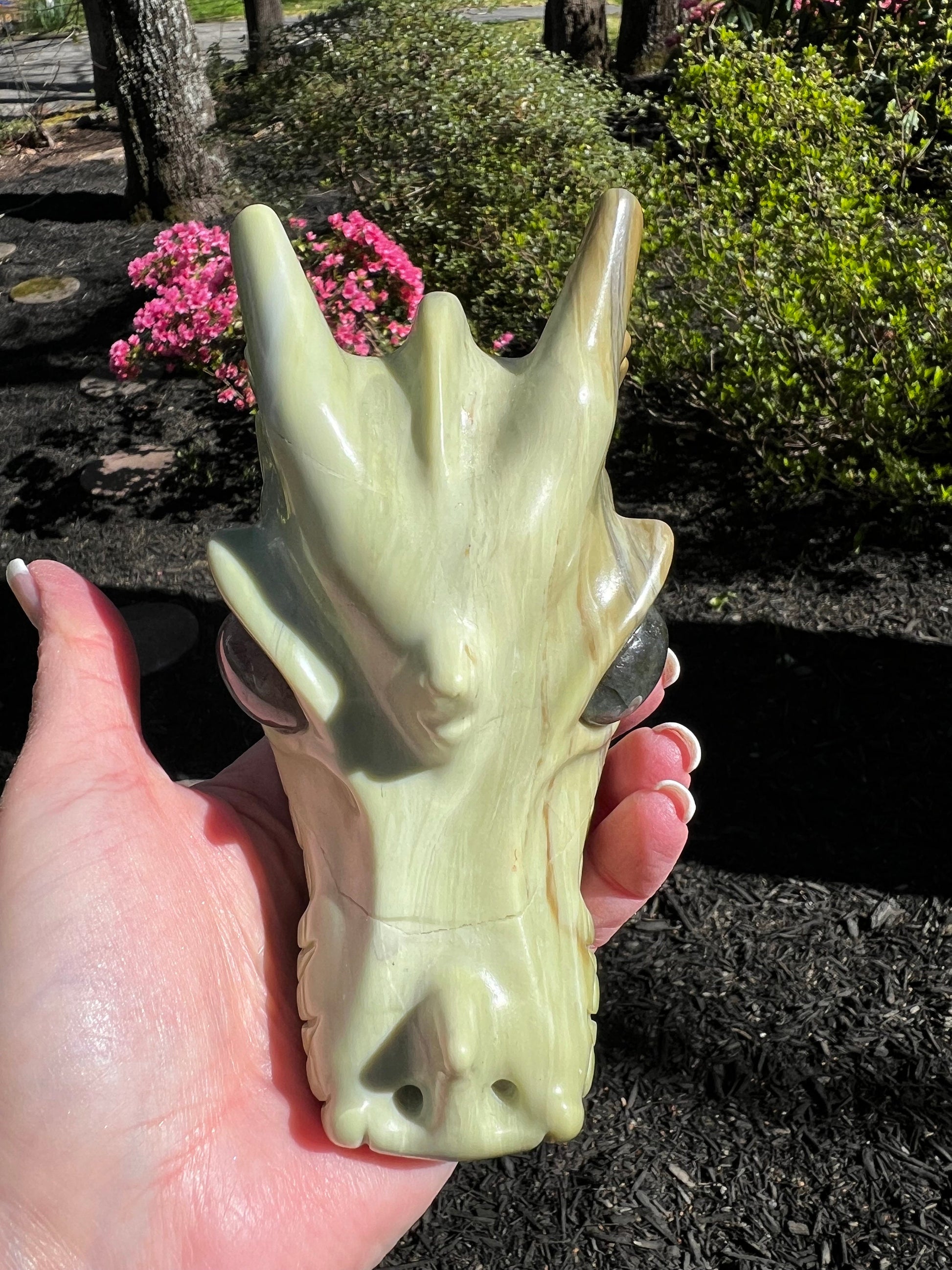 Butter Jade Dragon Head Skull 5”, new, beautiful carving, crystals healing practice, gift, altar