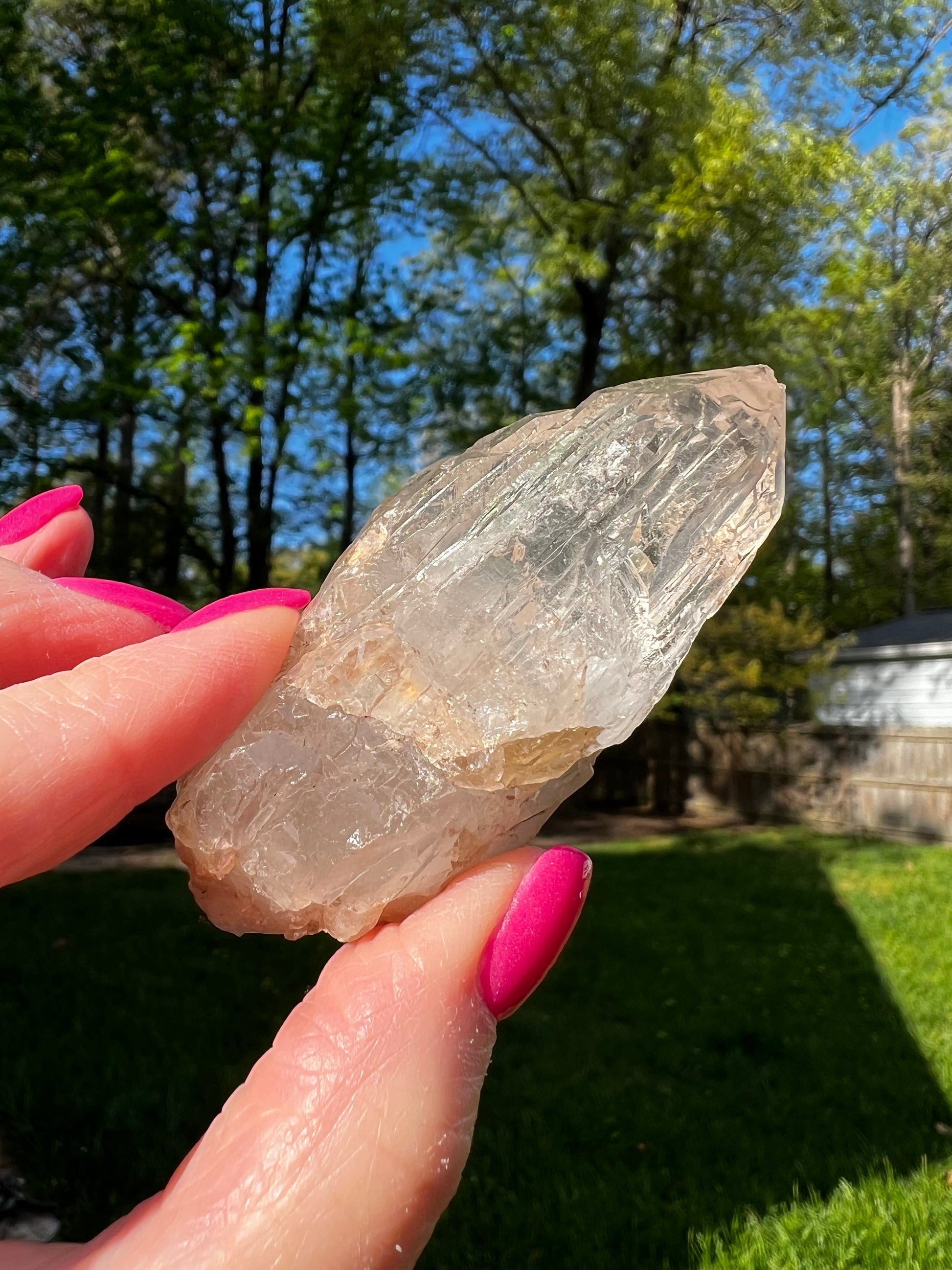 Cathedral Quartz Wand, clusters of points, magickal statement piece, altar, 2.75”, high vibration crystals