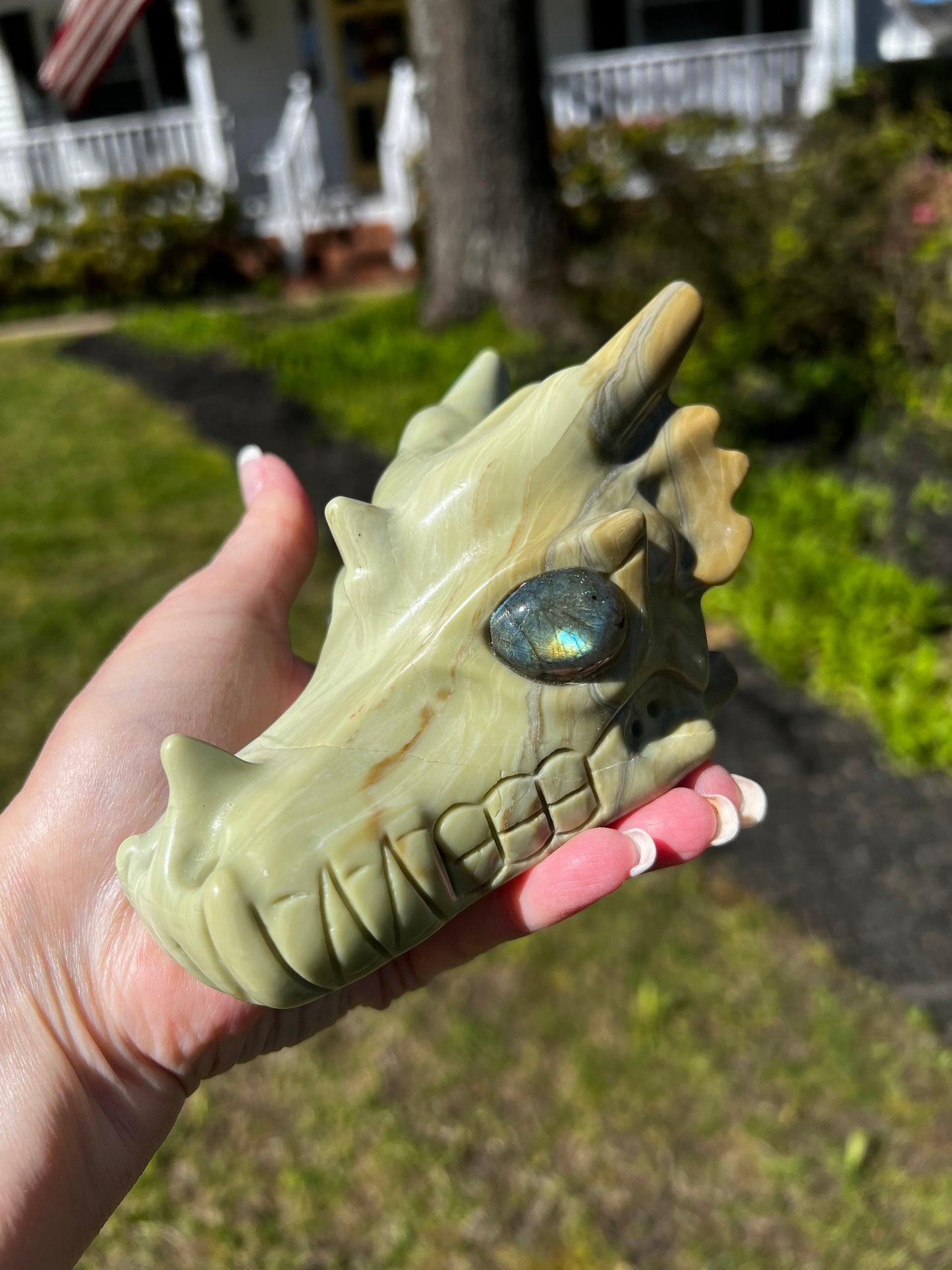 Butter Jade Dragon Head Skull 5”, new, beautiful carving, crystals healing practice, gift, altar