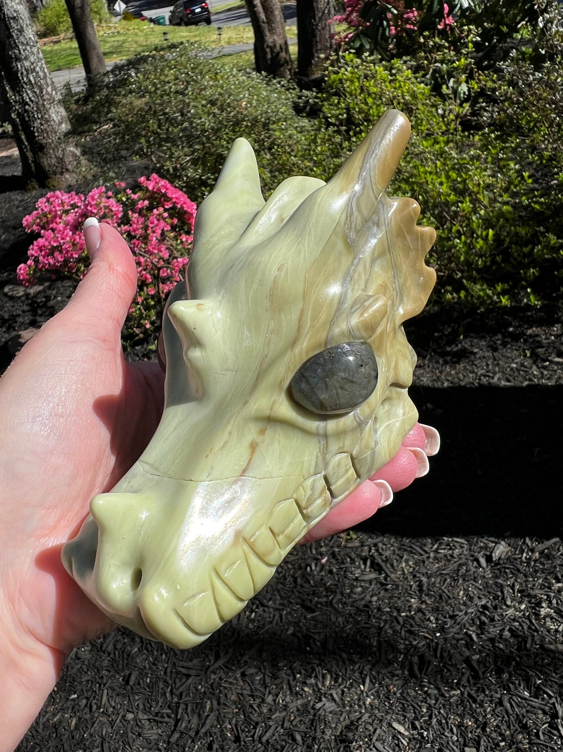 Butter Jade Dragon Head Skull 5”, new, beautiful carving, crystals healing practice, gift, altar