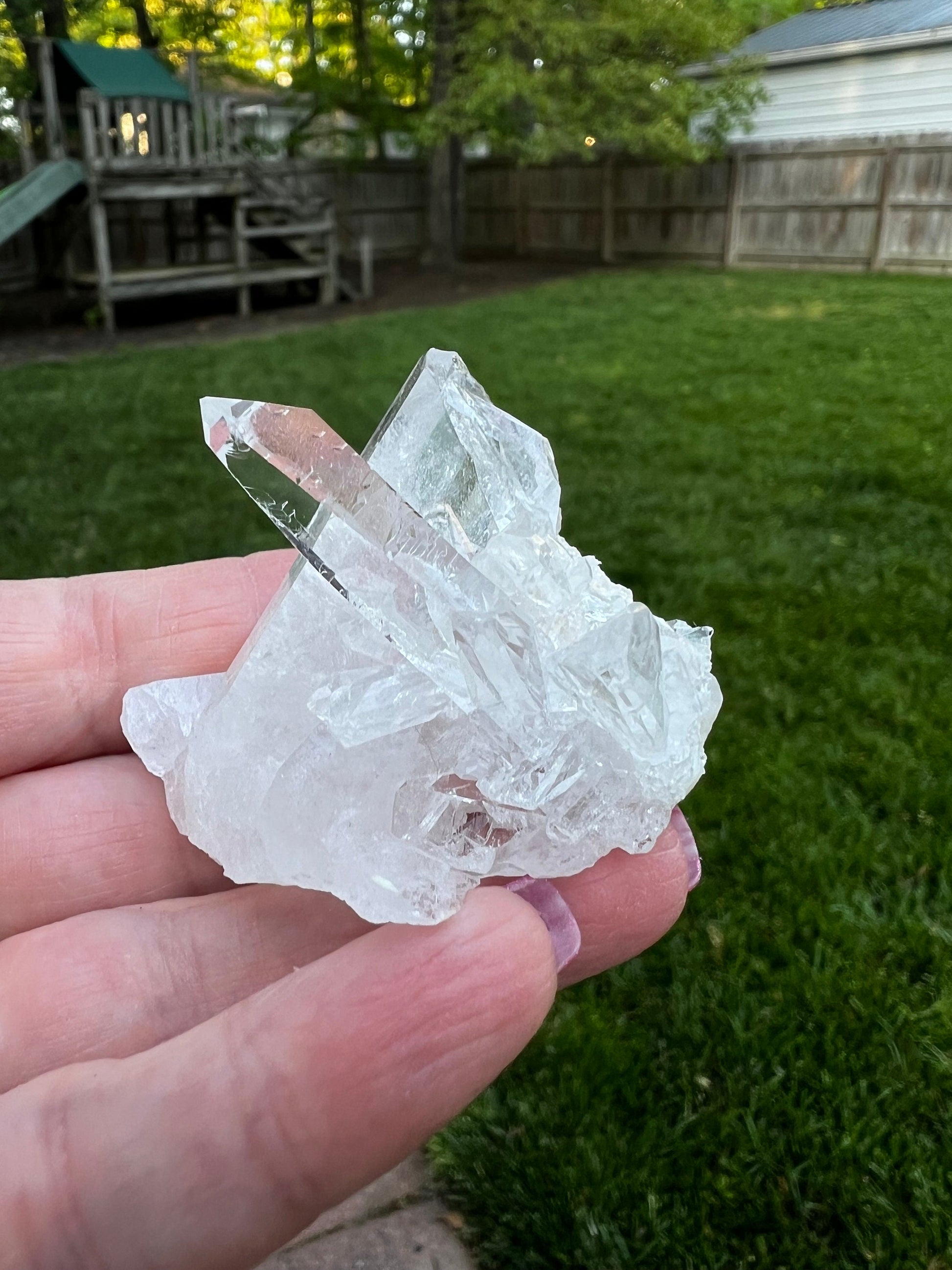 Lemurian Quartz Fairy bed, new, high frequency crystals, beautiful, gifts, altar, 2”